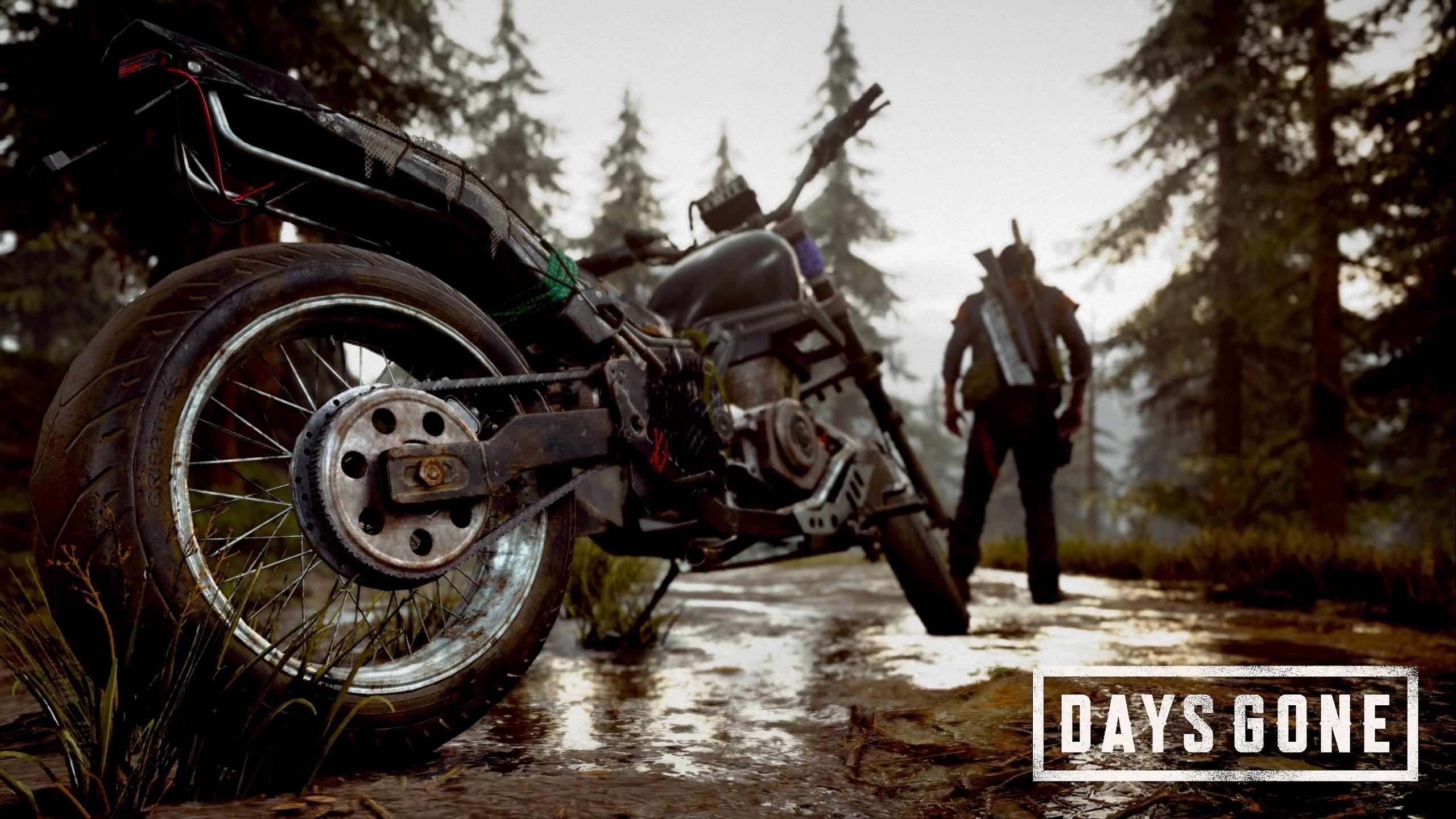 2560x1440 Days Gone 4K Wallpaper, Desktop