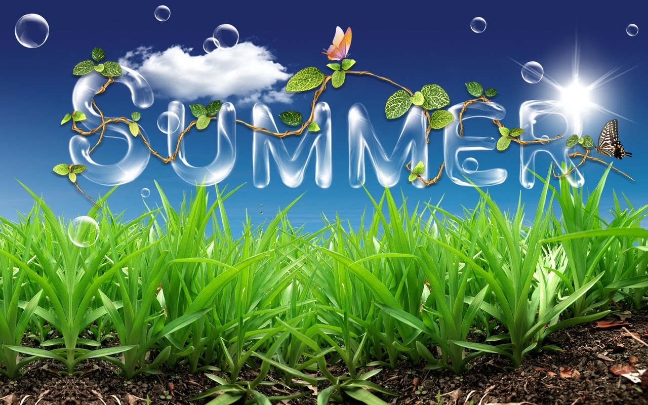 1280x800 summertime wallpaper, natural landscape, grass, sky, plant, daytime, grass family, spring, lawn, flower, landscape, Desktop