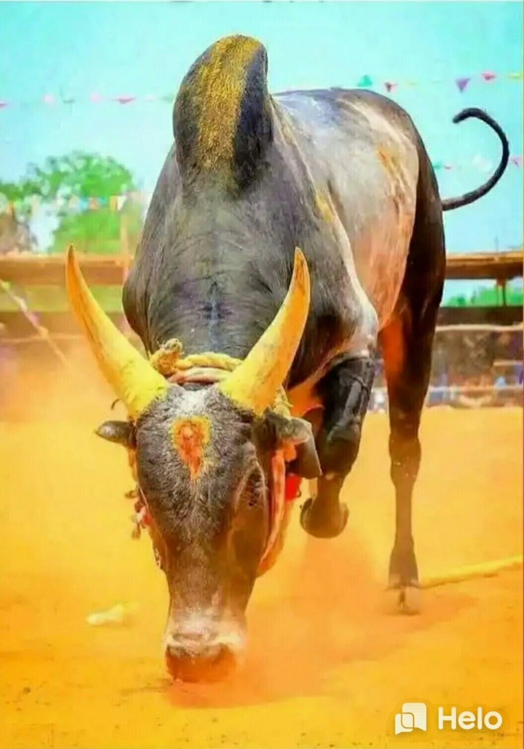 1060x1510 Jallikattu ideas. bull, bull image, bull tattoos, Phone