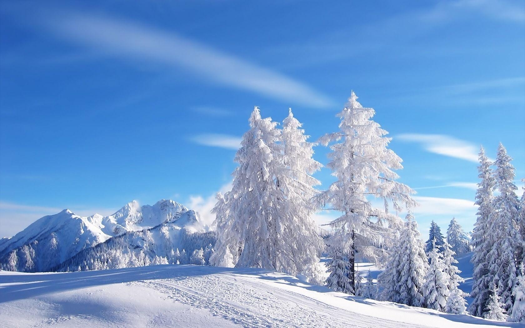 1680x1050 Snow Wallpaper Winter Nature Wallpaper in jpg format for free, Desktop