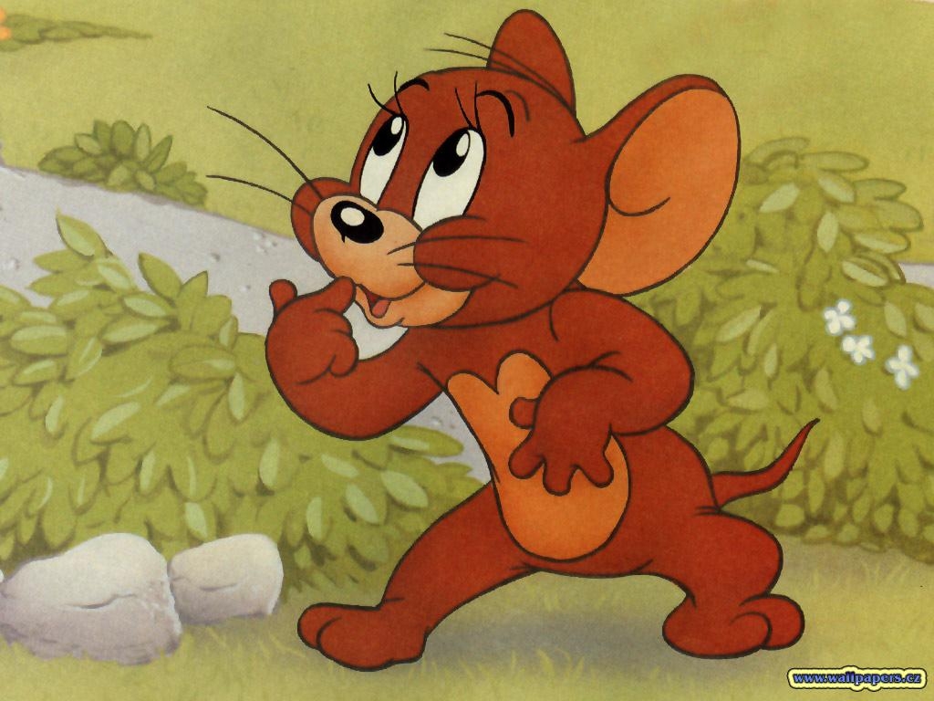 1030x770 Tom and Jerry Full HD Background for Phone, Desktop