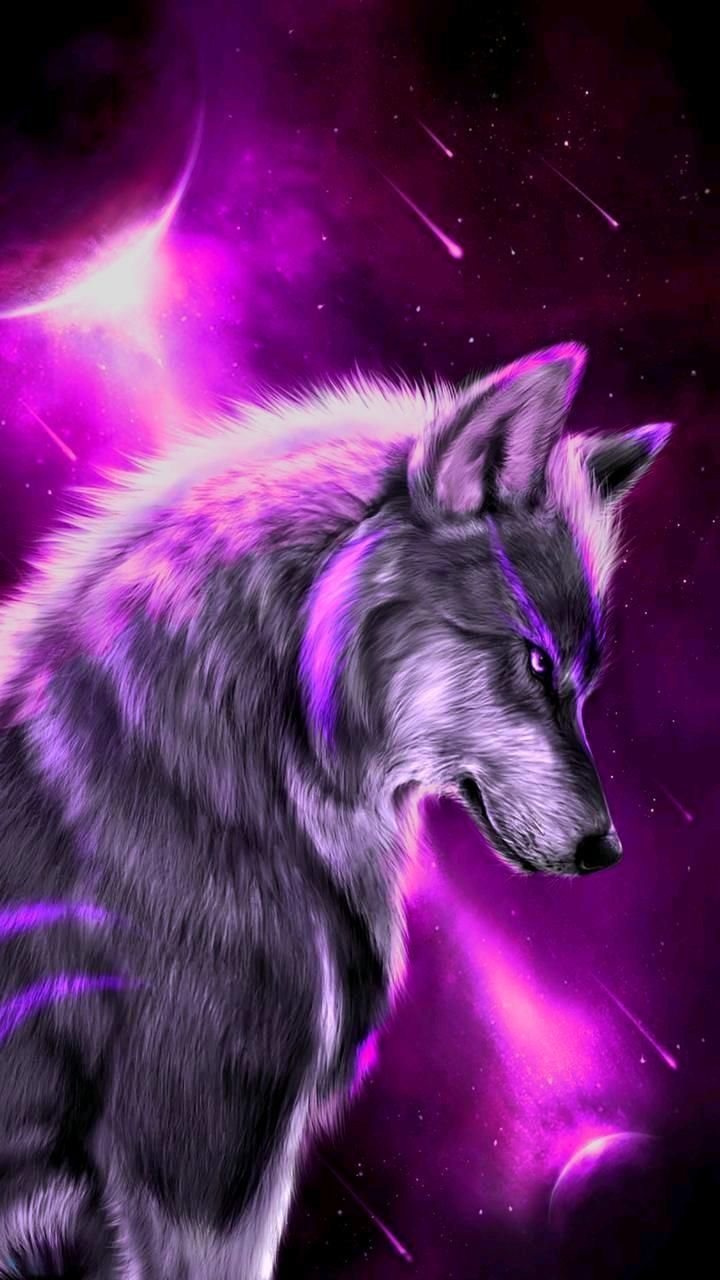 720x1280 Download Wolfve Wallpaper von SEBAS10021124, Phone