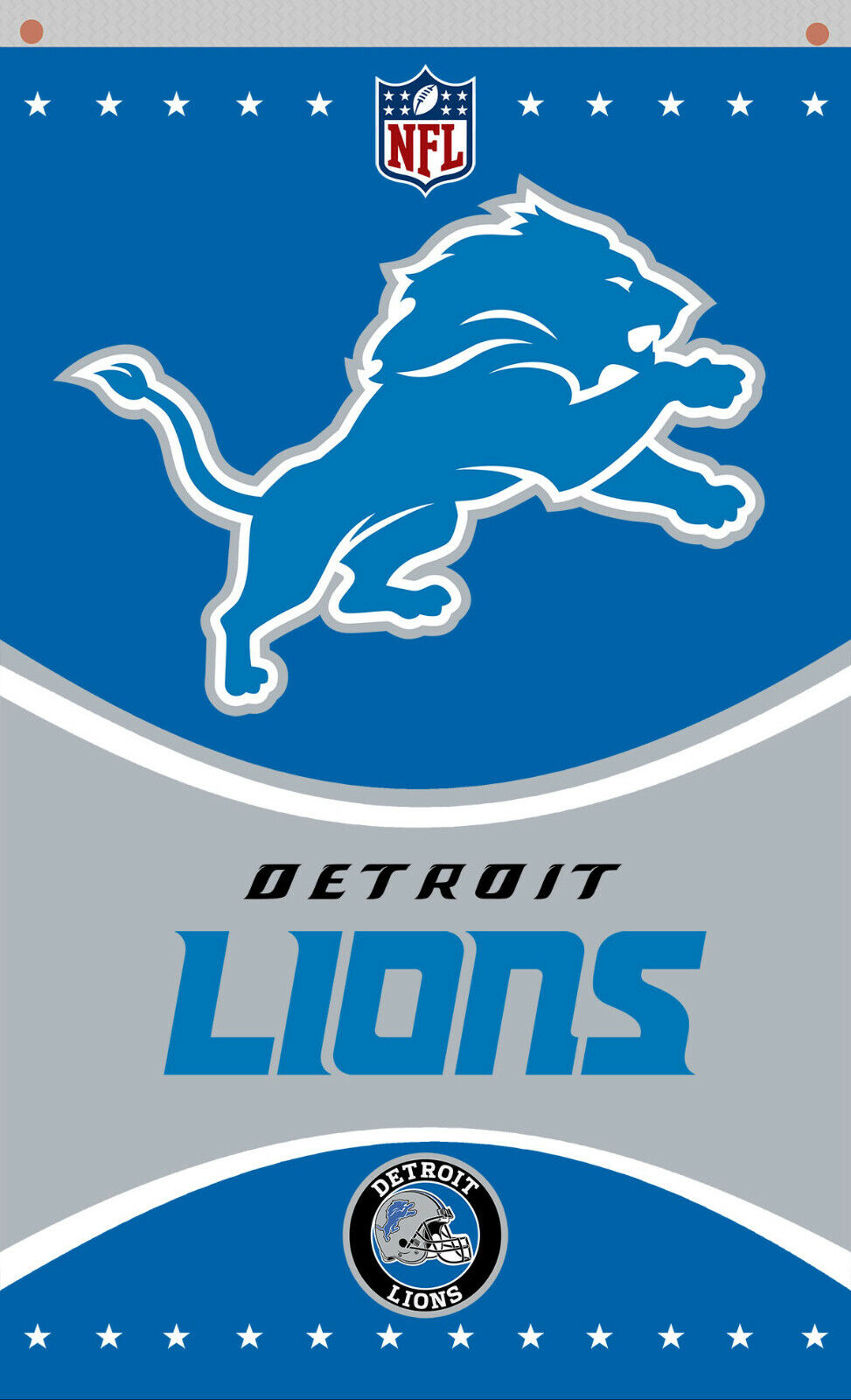 980x1600 Detroit Lions Football Team Memorable, Phone