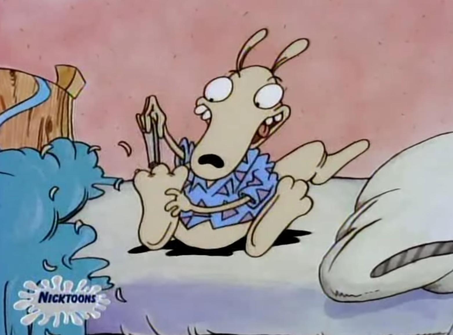 1570x1160 Rocko's Modern Life image Rocko stuff! HD wallpaper and background, Desktop