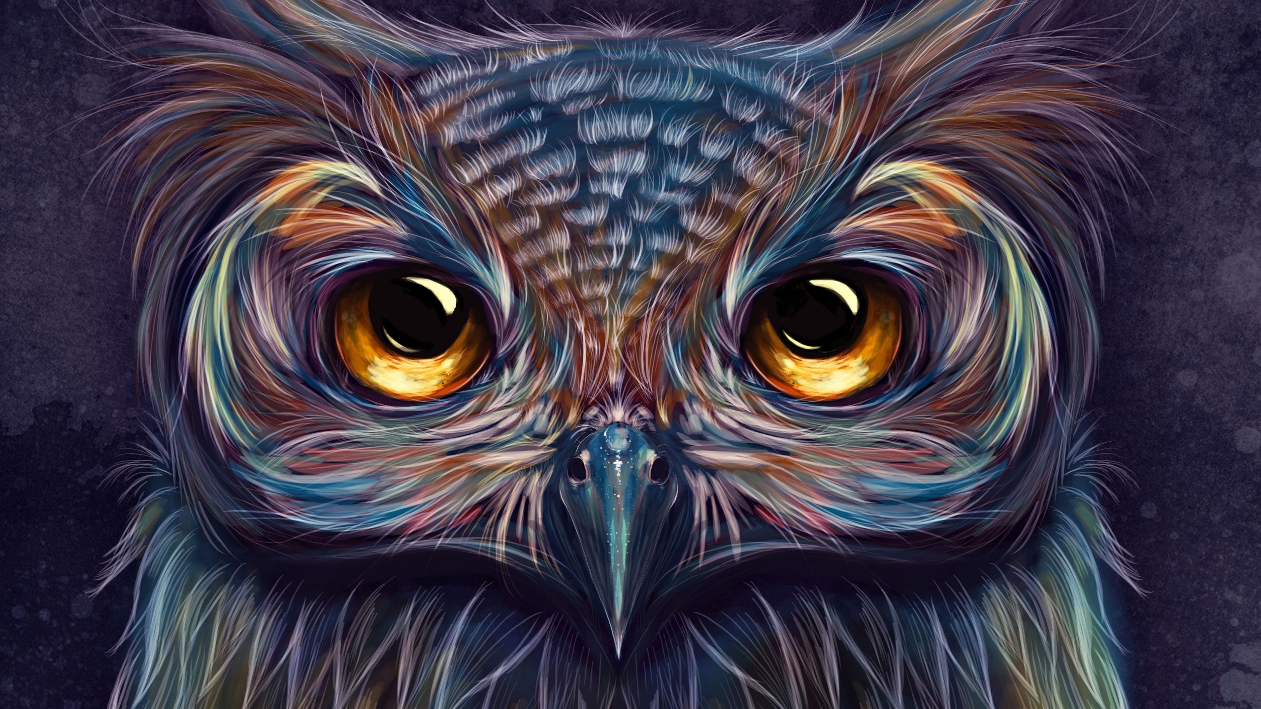 2560x1440 Wallpaper 4k Owl Colorful Art 4k Wallpaper, Desktop