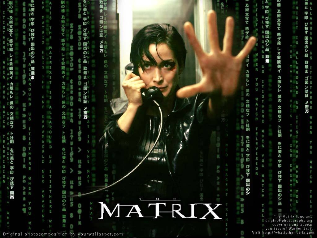 1030x770 Trinity from The Matrix Matrix Wallpaper, Desktop