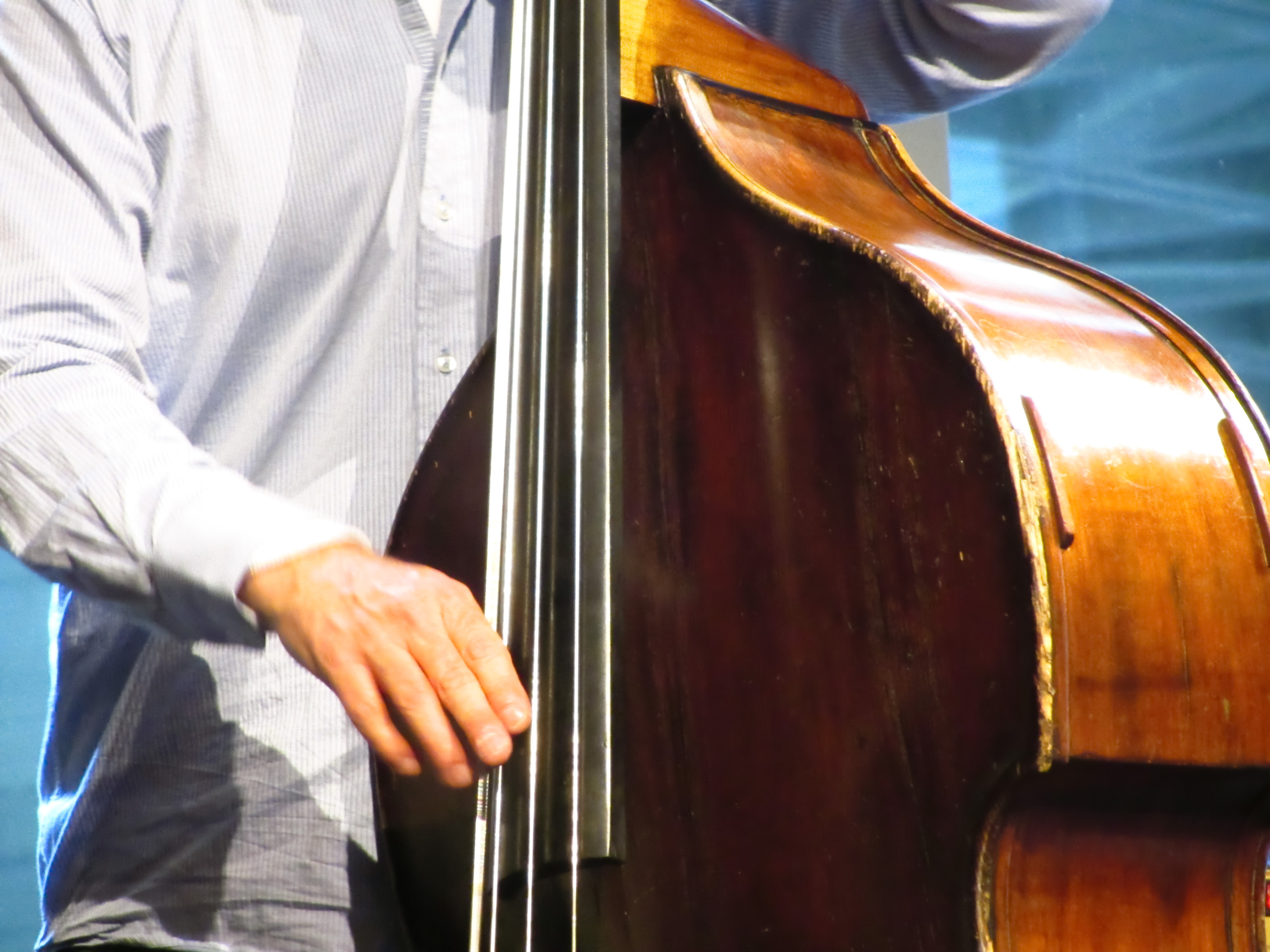 2820x2120 Double Bass (photo by Garry Knight), Desktop