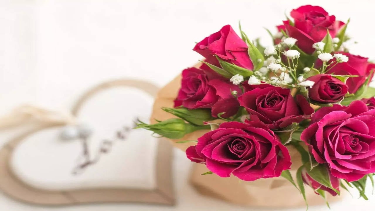 1280x720 Happy Rose Day 2024: Best Messages, Desktop