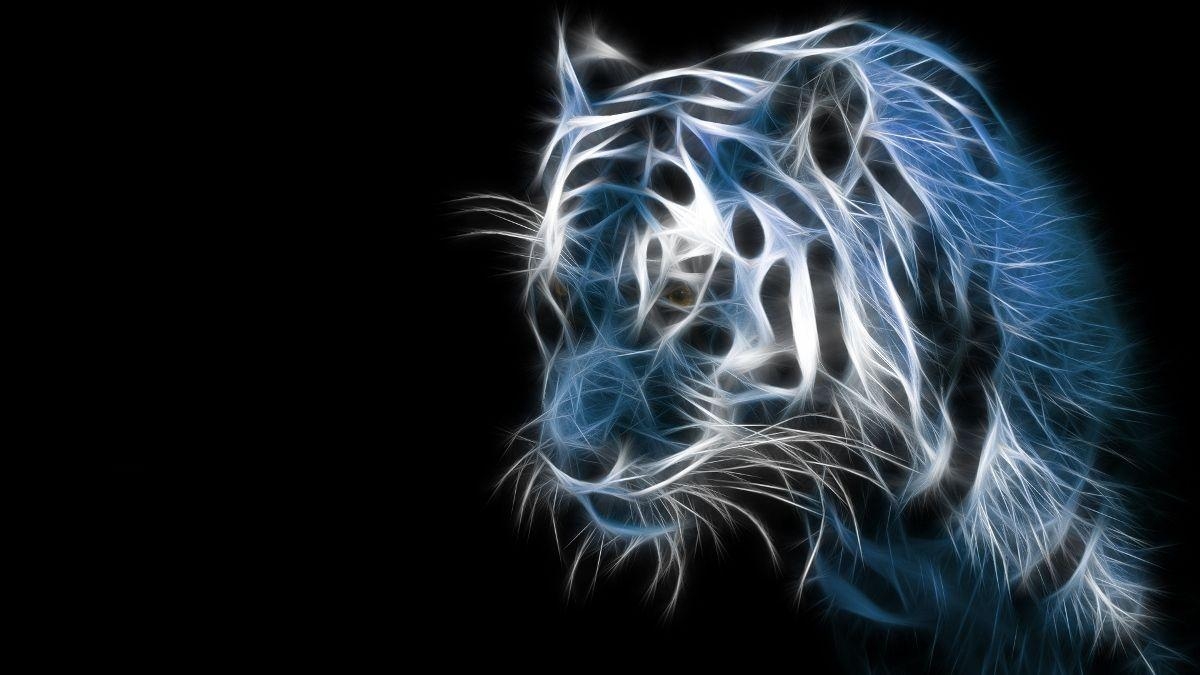 1200x680 Cool Cat. cool. D, Cat wallpaper, Desktop