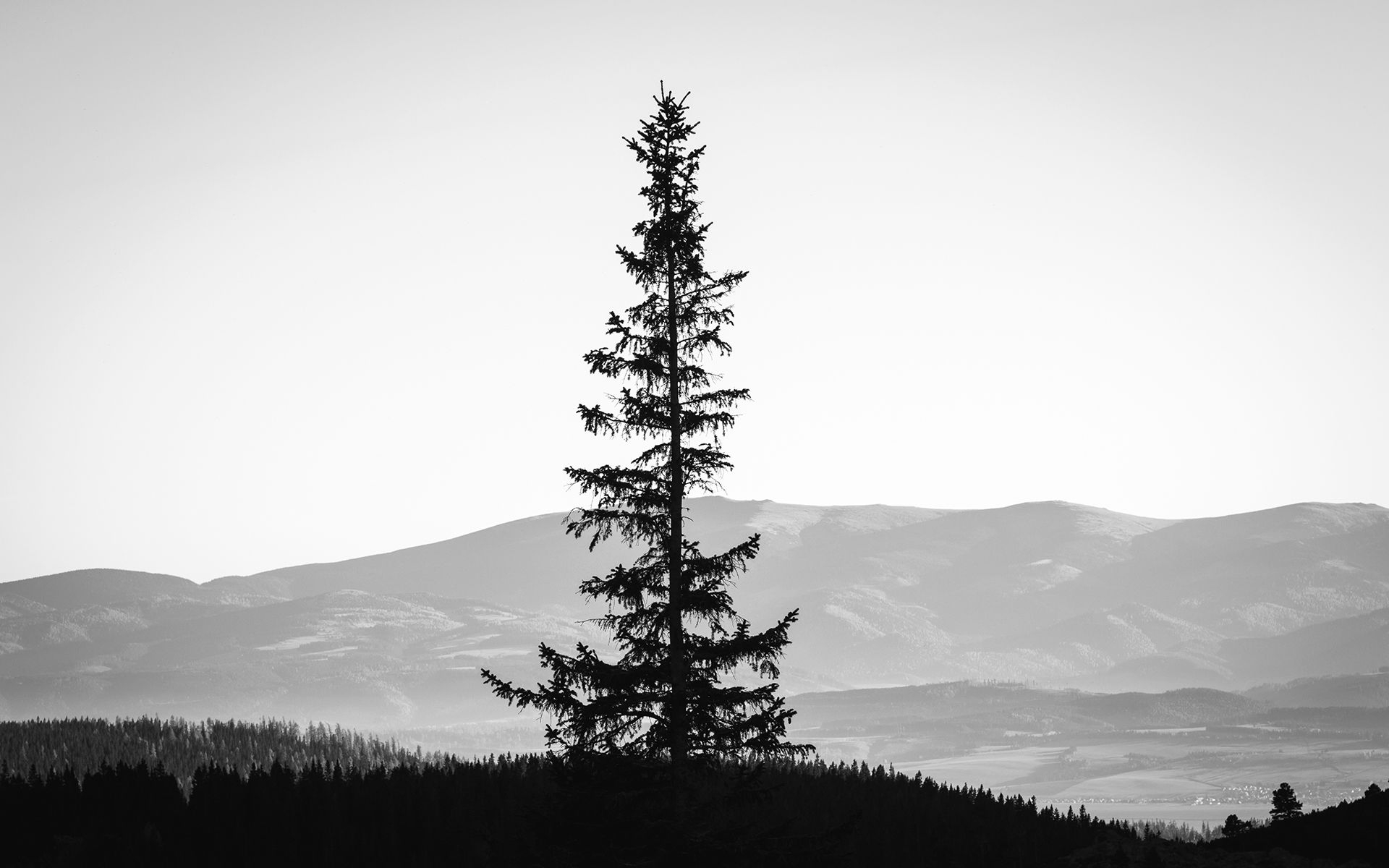 1920x1200 Monochrome black white landscapes mountains sky silhouette, Desktop