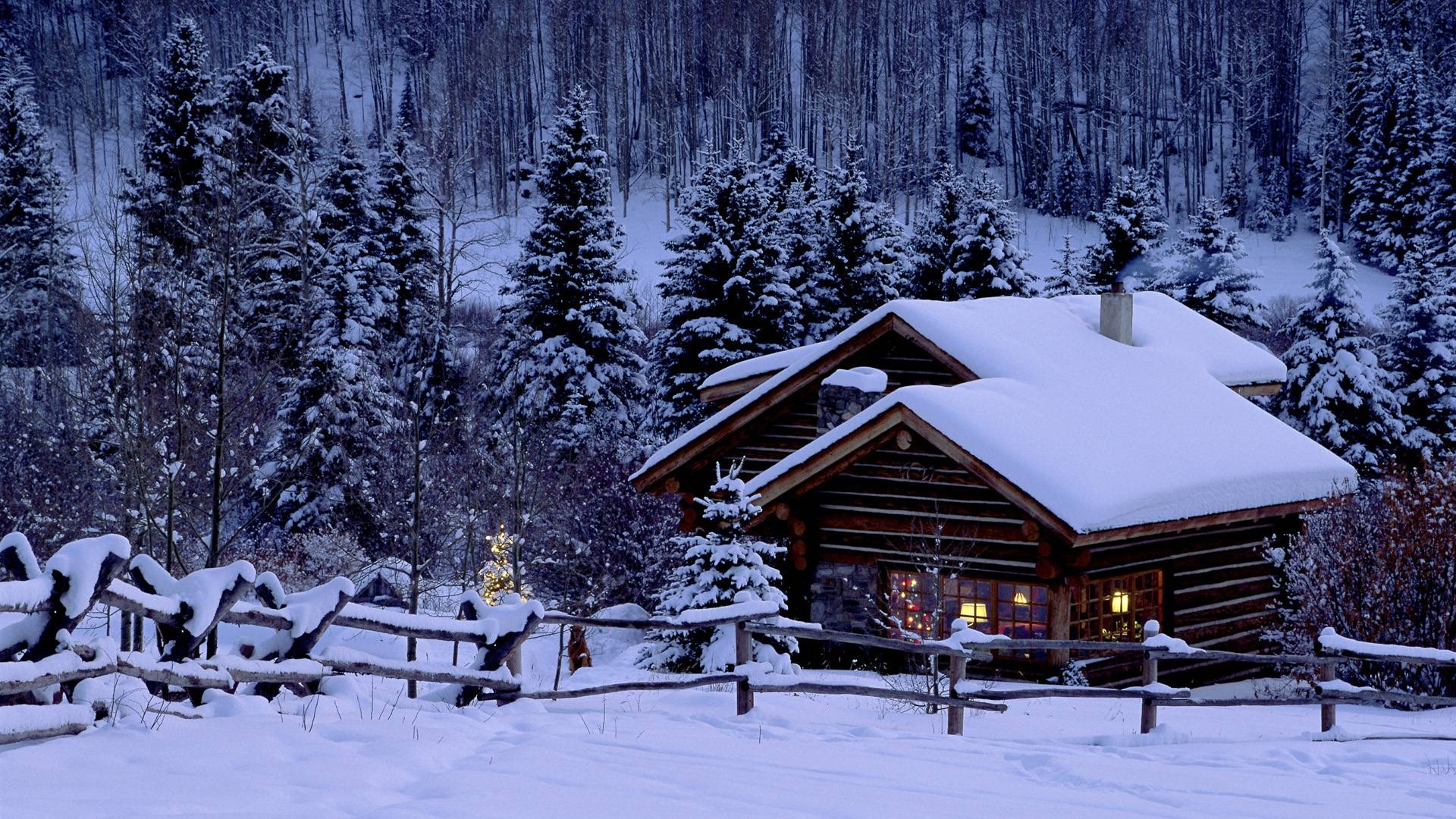 1920x1080 Wallpaper For > Beautiful Snow Nature Wallpaper, Desktop