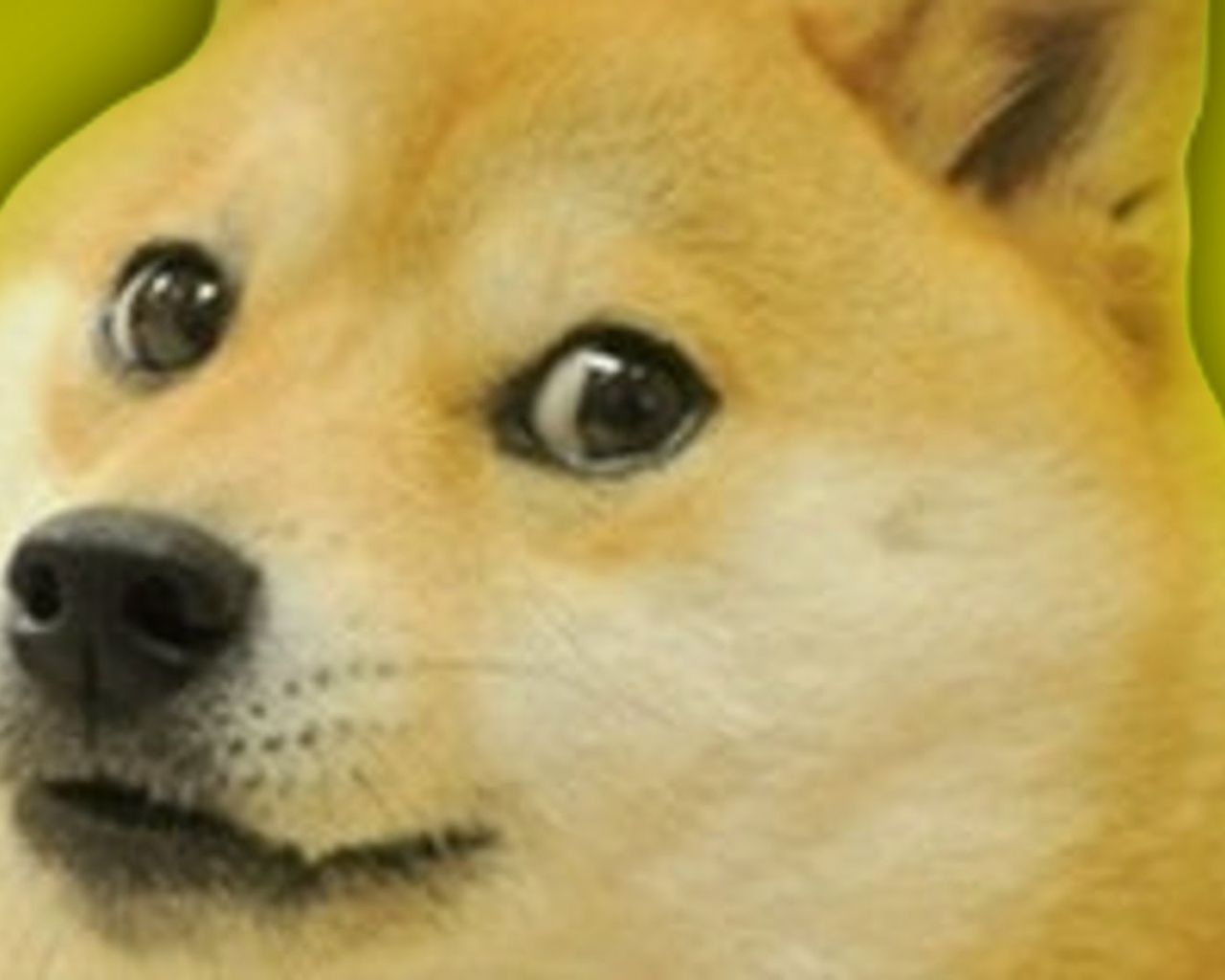 1280x1030 Free download Doge Meme iPhone Wallpaper Doge wallpaper 1920x1080, Desktop