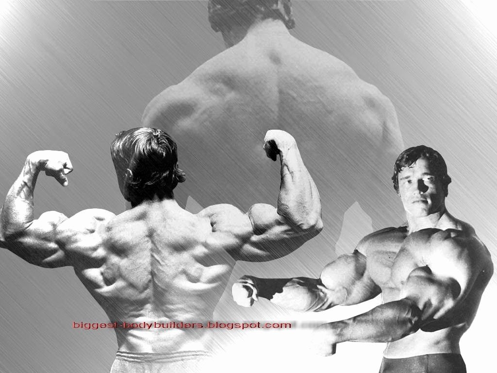 1030x770 Arnold Schwarzenegger Wallpaper New Biggest Body Builders Arnold, Desktop