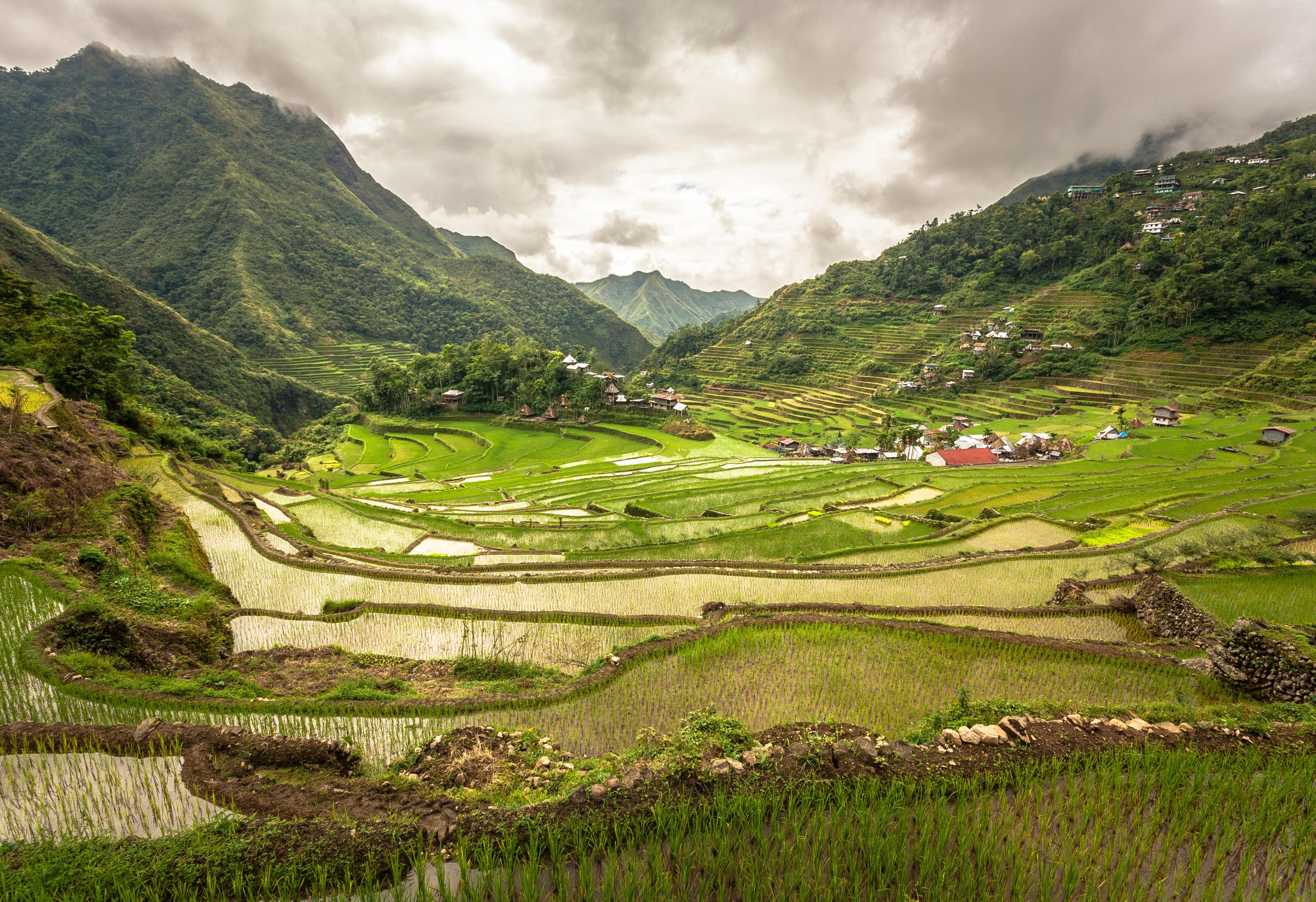 3790x2600 Philippines' Famed Banaue Rice Terraces by Adi Simionov 3782 × 2592, Desktop