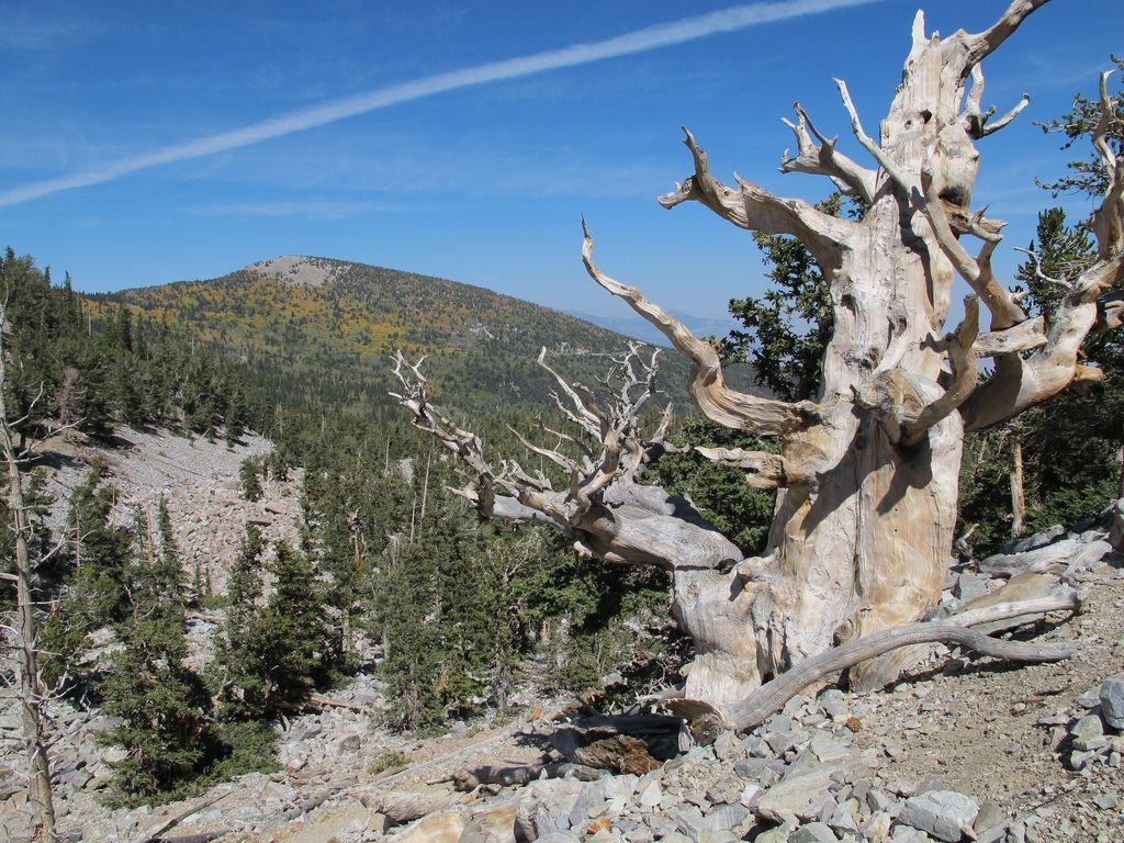 1030x770 Georgeous Photo of Great Basin National Park in Nevada, Desktop