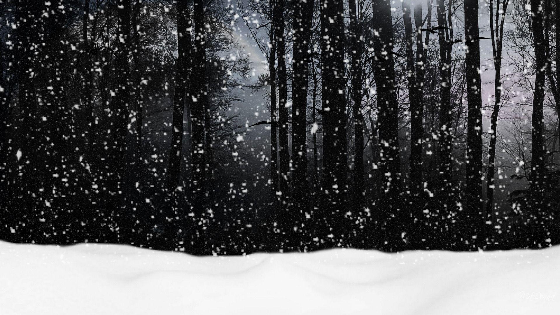 1920x1080 Snow Falling On Forest In Monochrome Wallpaper, Desktop