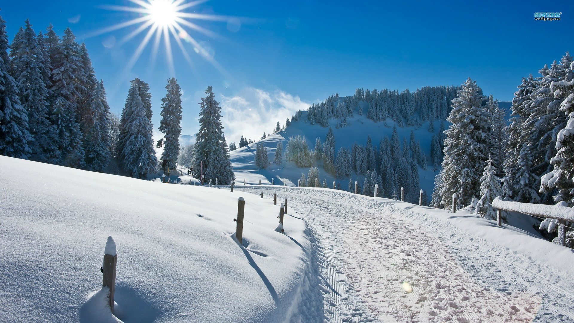 1920x1080 Winter iPad Wallpaper, Winter Picture Morning Winter HD, Desktop