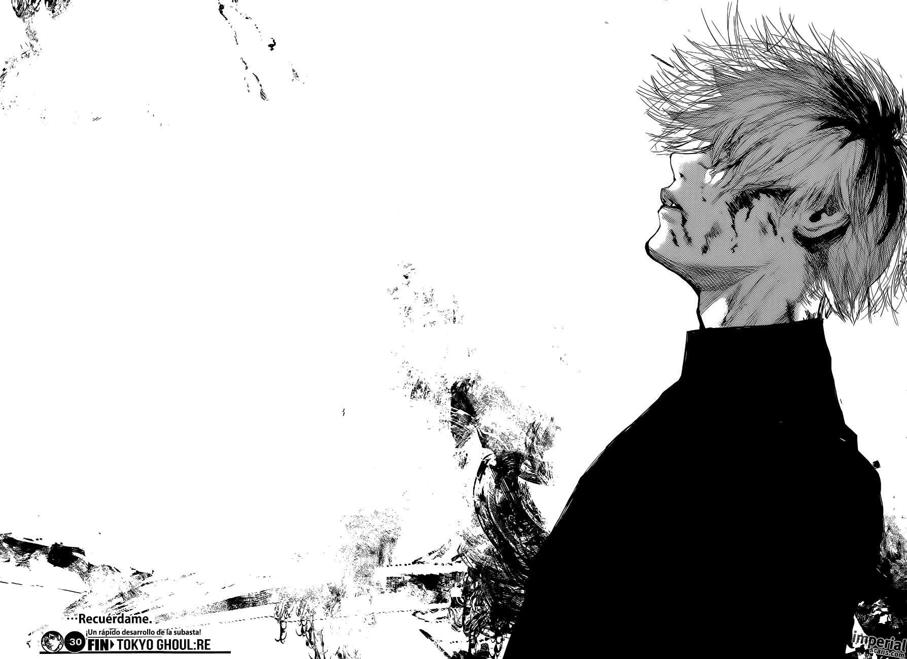 1790x1300 My Tokyo Ghoul :re panels Wallpaper. Tokyo ghoul manga, Tokyo ghoul wallpaper, Tokyo ghoul picture, Desktop