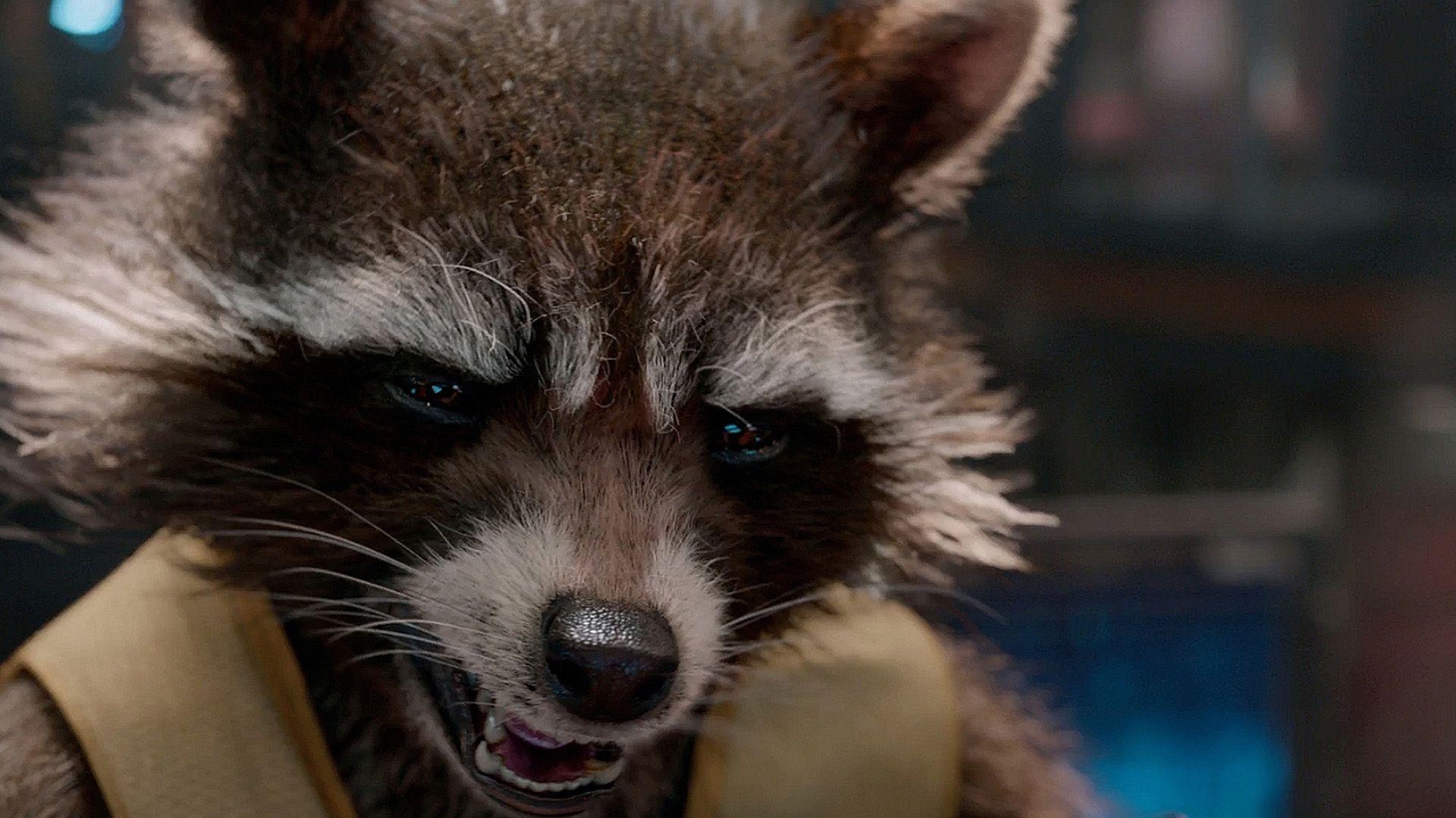 1920x1080 The Genius of James Gunn's Rocket Raccoon, Desktop