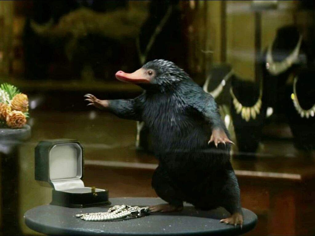 1030x770 Soy un Niffler, todos los que hayan visto o leido Animales, Desktop