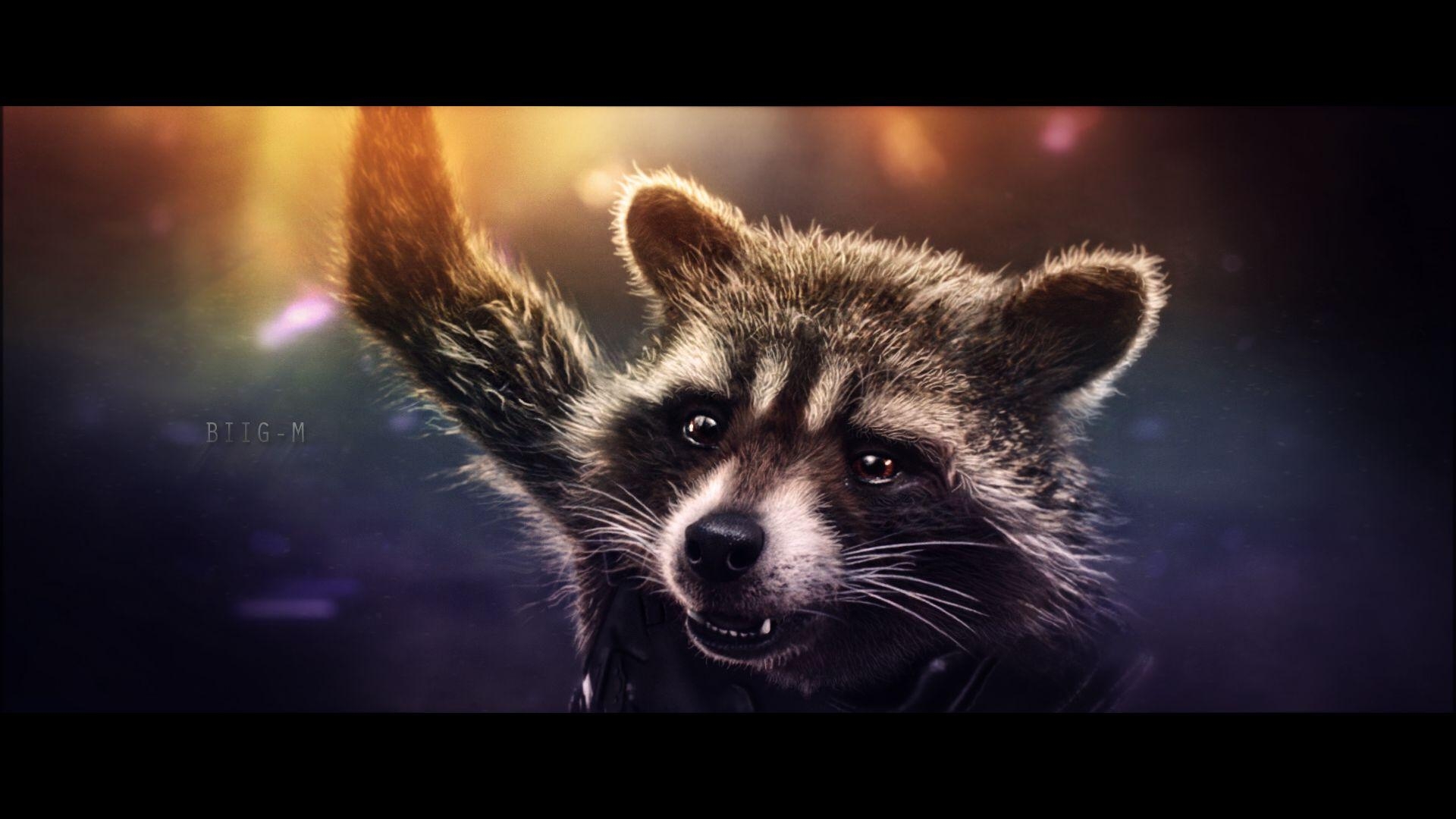 1920x1080 Rocket Raccoon wallpaper (9), Desktop