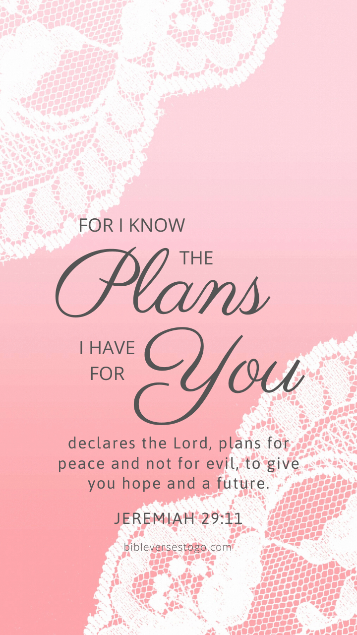 720x1280 Pink Lace Jeremiah 29:11, Phone