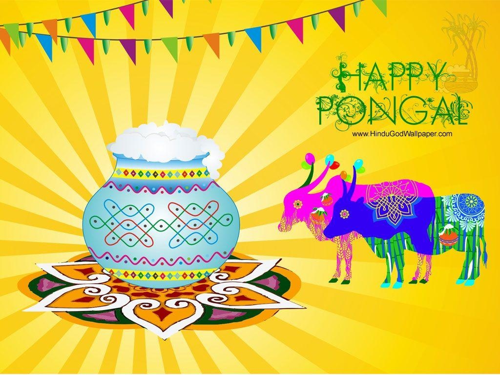 1030x770 Pongal. Happy pongal, Pongal festival image, Pongal image, Desktop