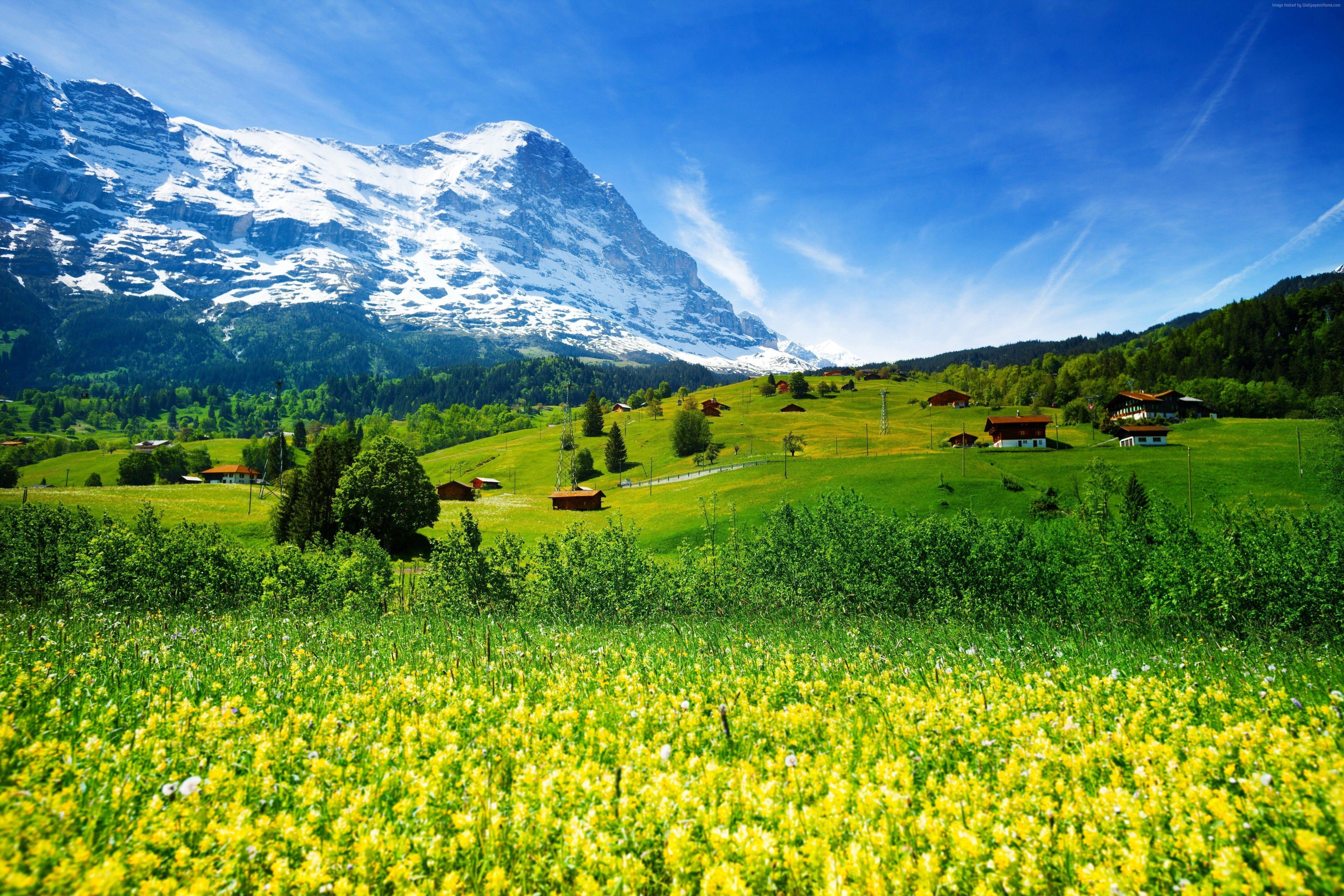 4500x3000 Wallpaper Switzerland, 5k, 4k wallpaper, mountains, meadows, Desktop