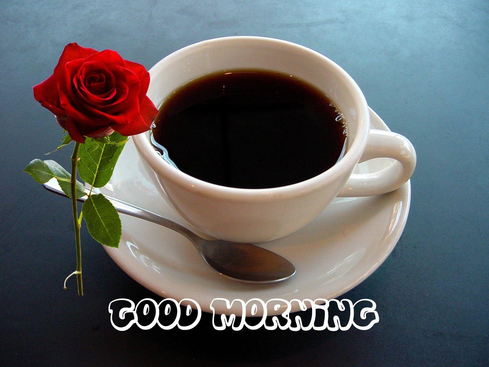 1600x1200 Beautiful Good Morning With Red Rose, Download Fastival greetings, Desktop