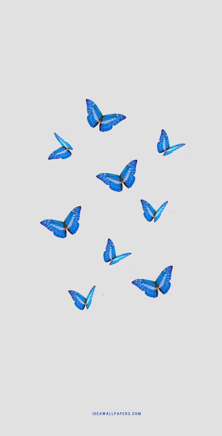 760x1490 Butterfly iphone background Wallpaper, iPhone Wallpaper, Phone