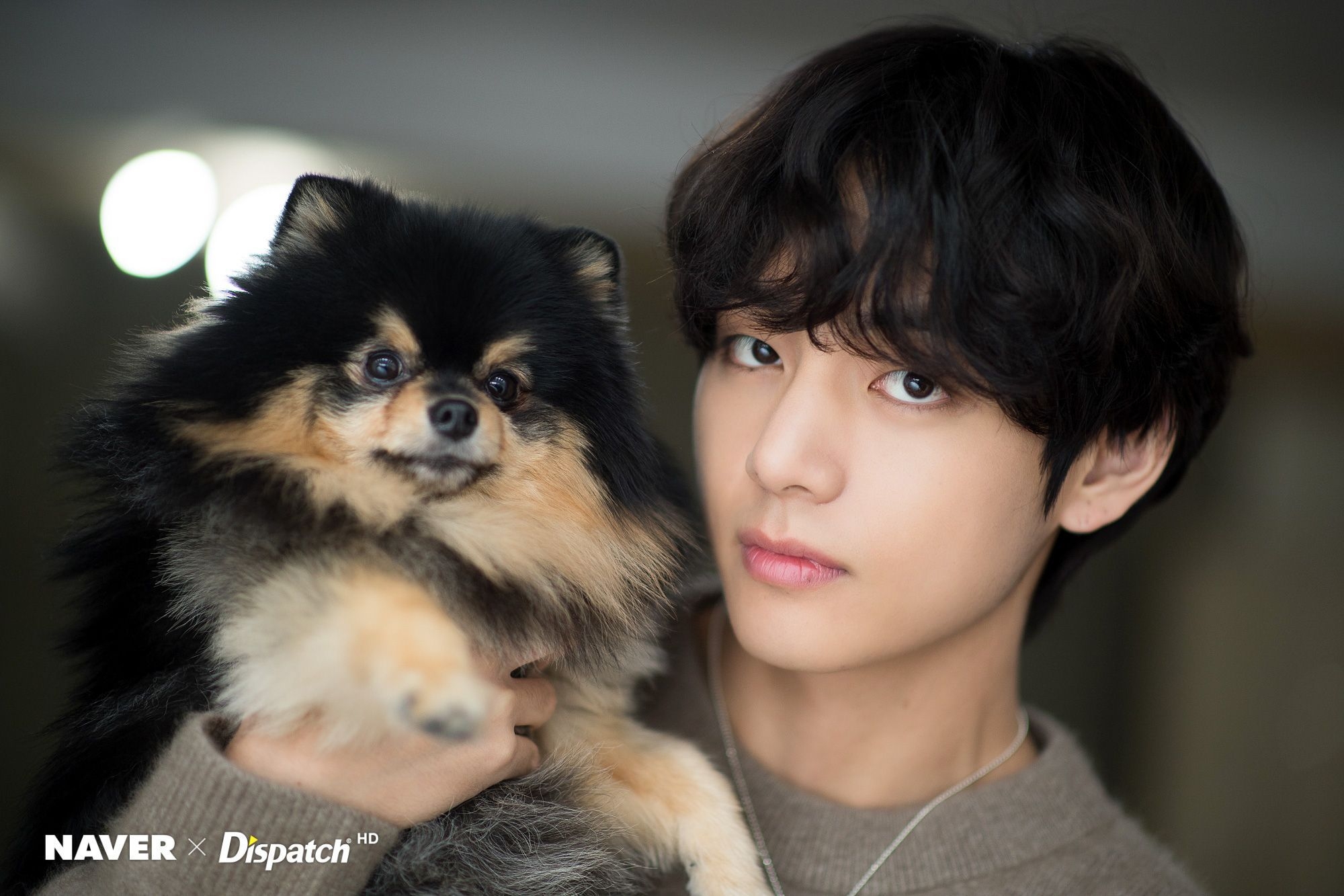 2000x1340 BTS's V and his dog Yeontan Birthday photohoot, Desktop