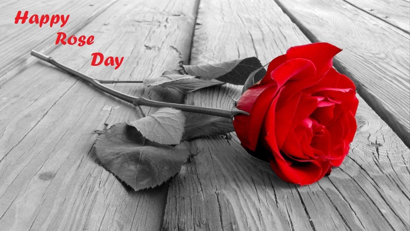 1370x770 Happy Rose Day 2017 Wishes With Image, Desktop