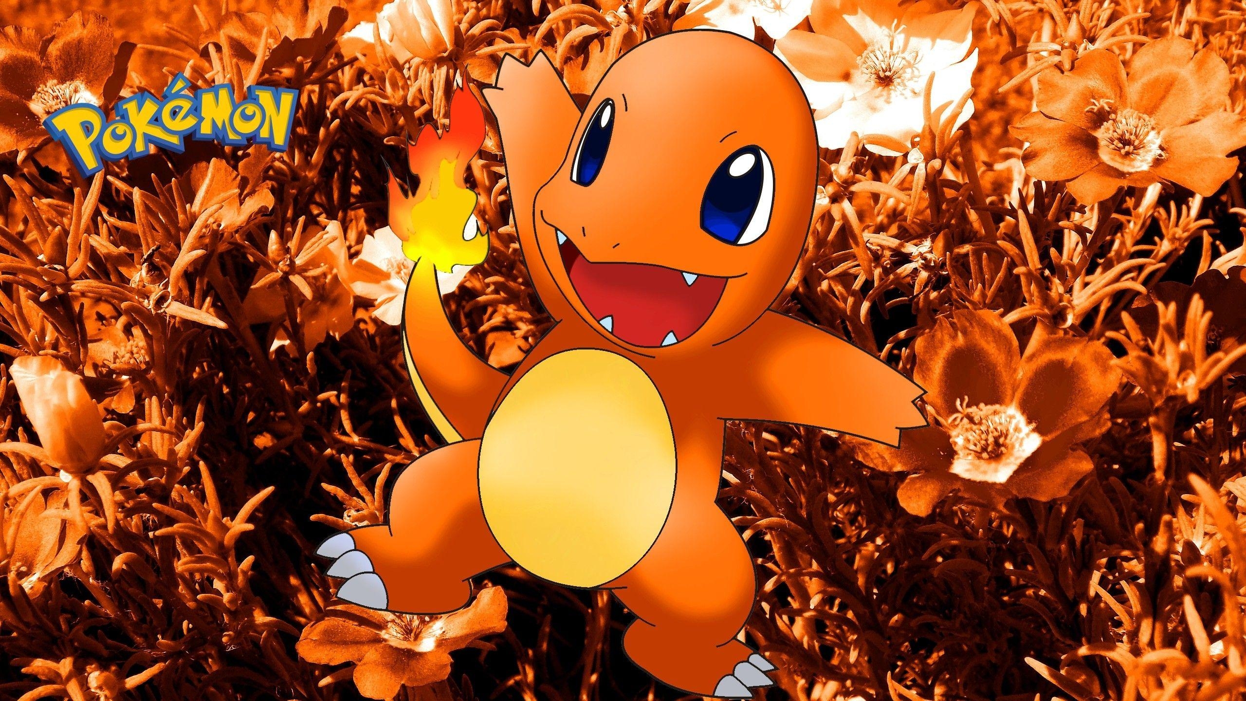 2560x1440 Charmander Background.com, Desktop