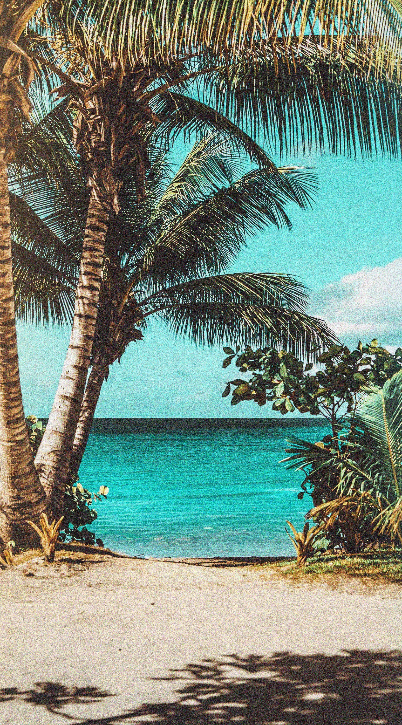 1670x3010 Vsco Aesthetic Wallpaper tropical beach. Tropical wallpaper summer, Beach wallpaper, Island wallpaper, Phone