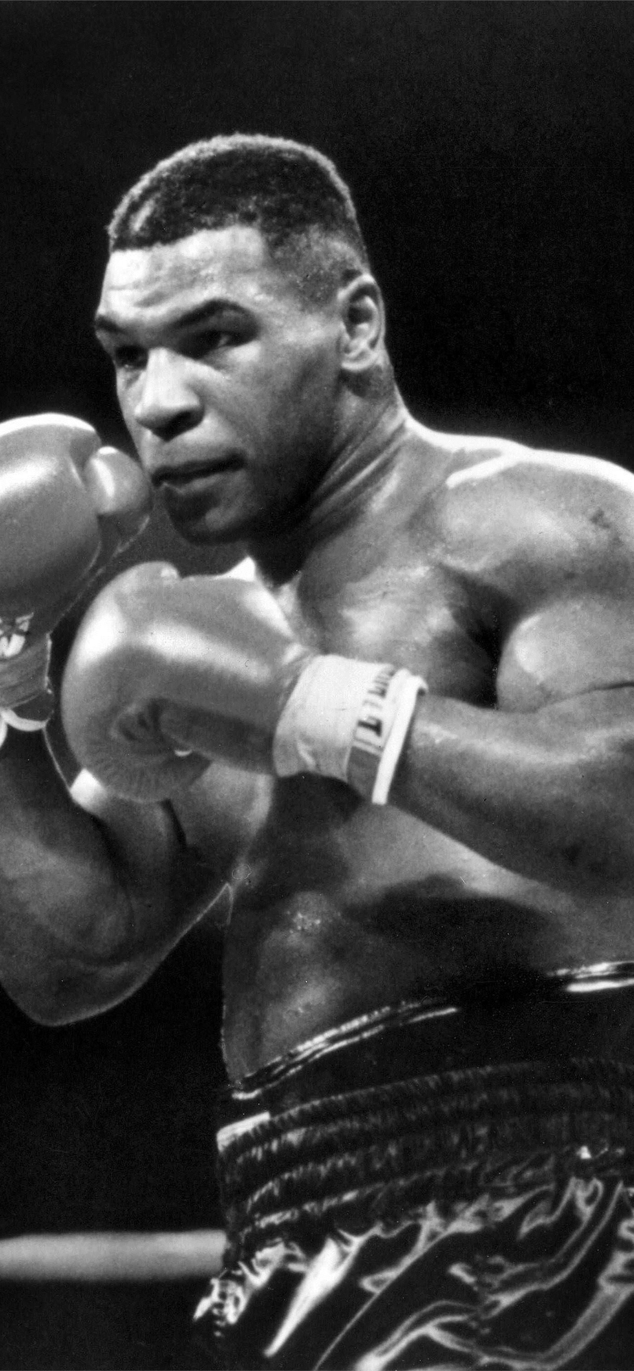 1290x2780 Best Mike tyson iPhone HD Wallpaper, Phone