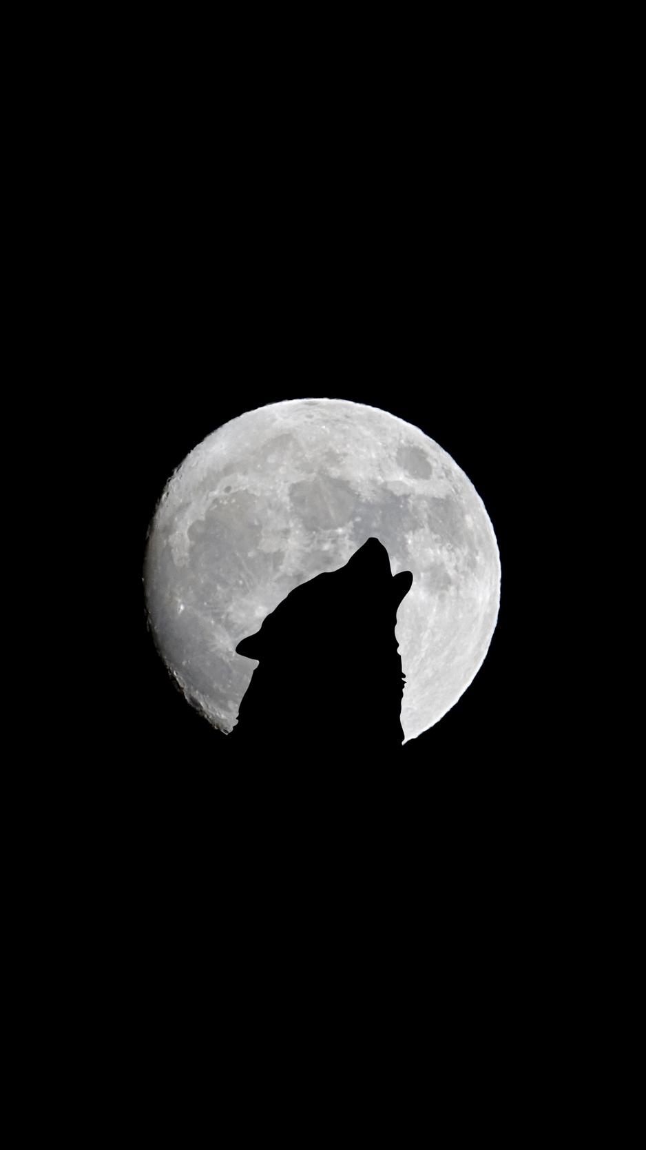 940x1670 Download Wallpaper  Full Moon, Wolf, Howl, Bw Iphone 8 7 6s, Phone