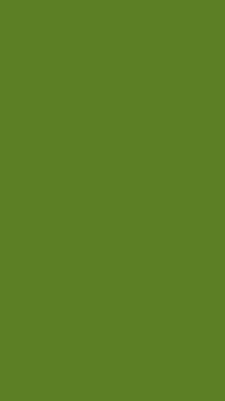 750x1340 Use this BLOG as a color scheme tool!: Dark olive green wallpaper, Phone