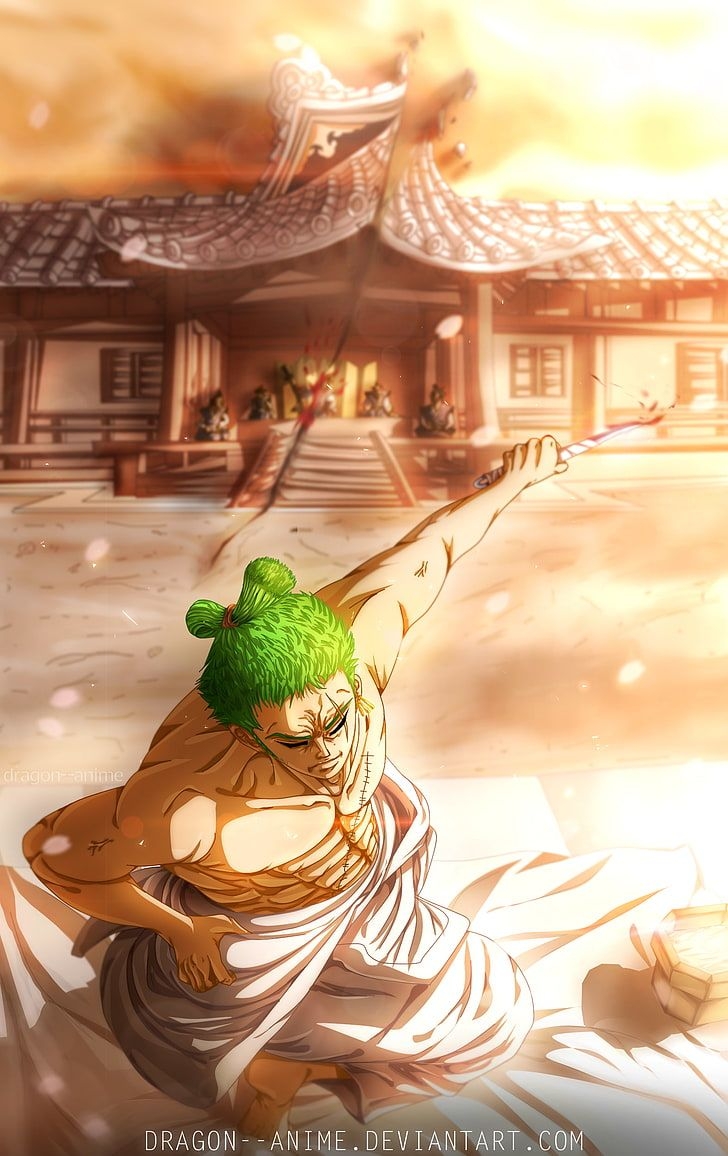 730x1160 Zoro Roronoa 1080P, 2K, 4K, 5K HD wallpaper free download, Phone