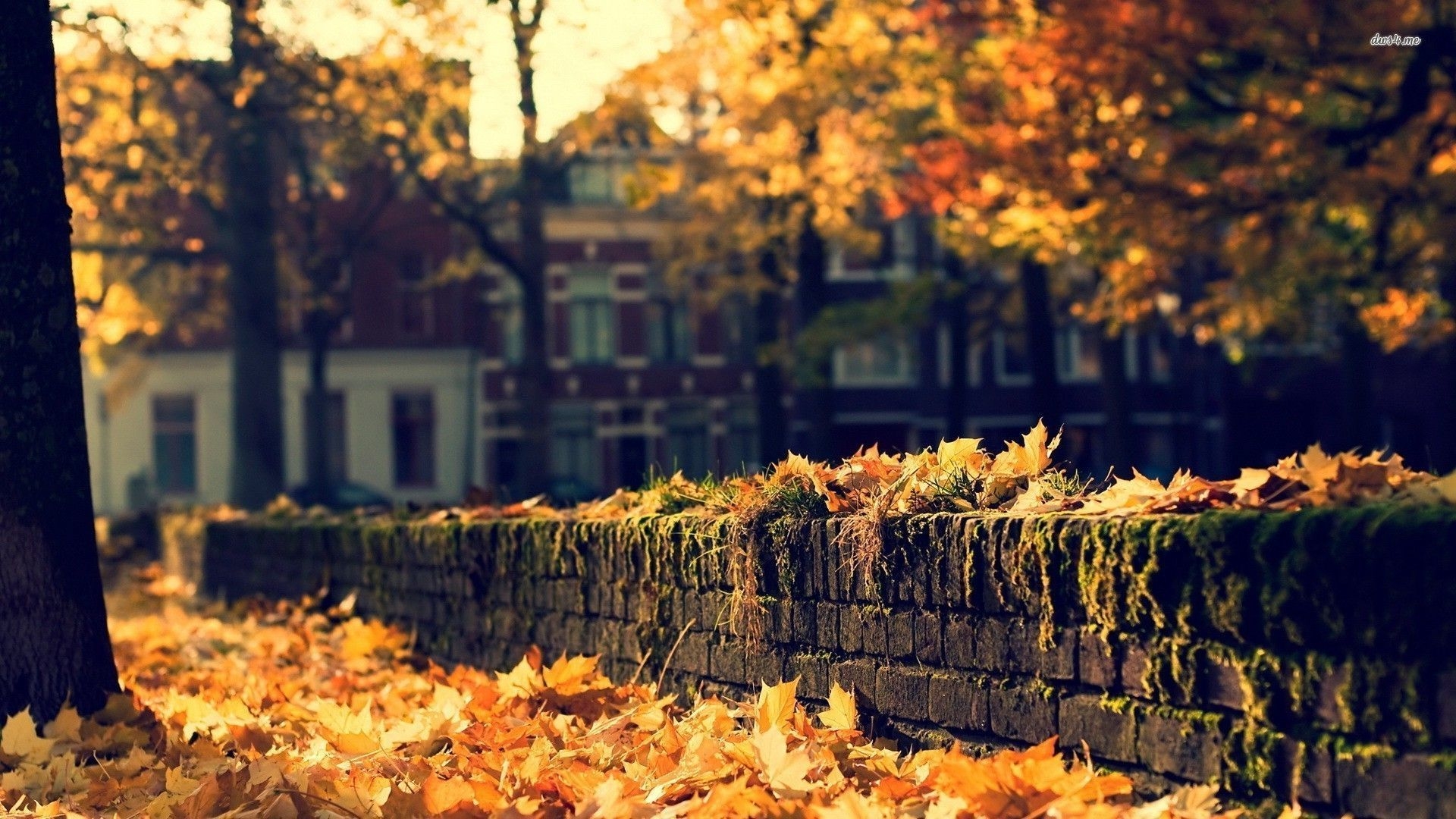 1920x1080 Autumn City Wallpaper Free Autumn City Background, Desktop