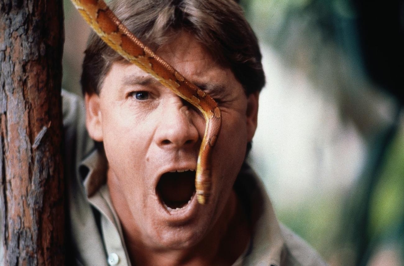 1300x860 Steve Irwin Wallpaper 10 X 856, Desktop