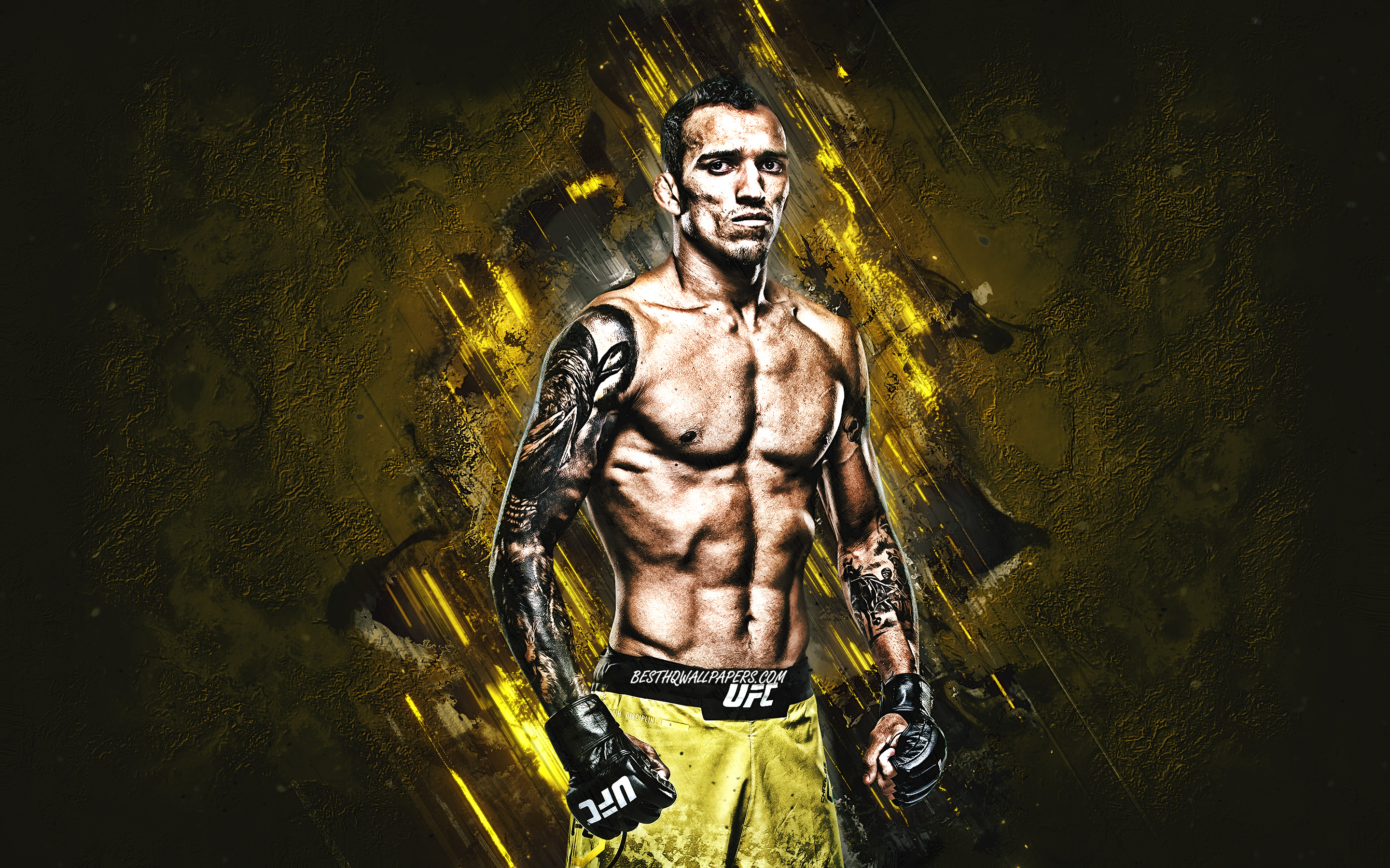 2880x1800 Download wallpaper Charles Oliveira, MMA, portrait, brazilian fighter, yellow stone background, creative art for desktop with resolution. High Quality HD picture wallpaper, Desktop