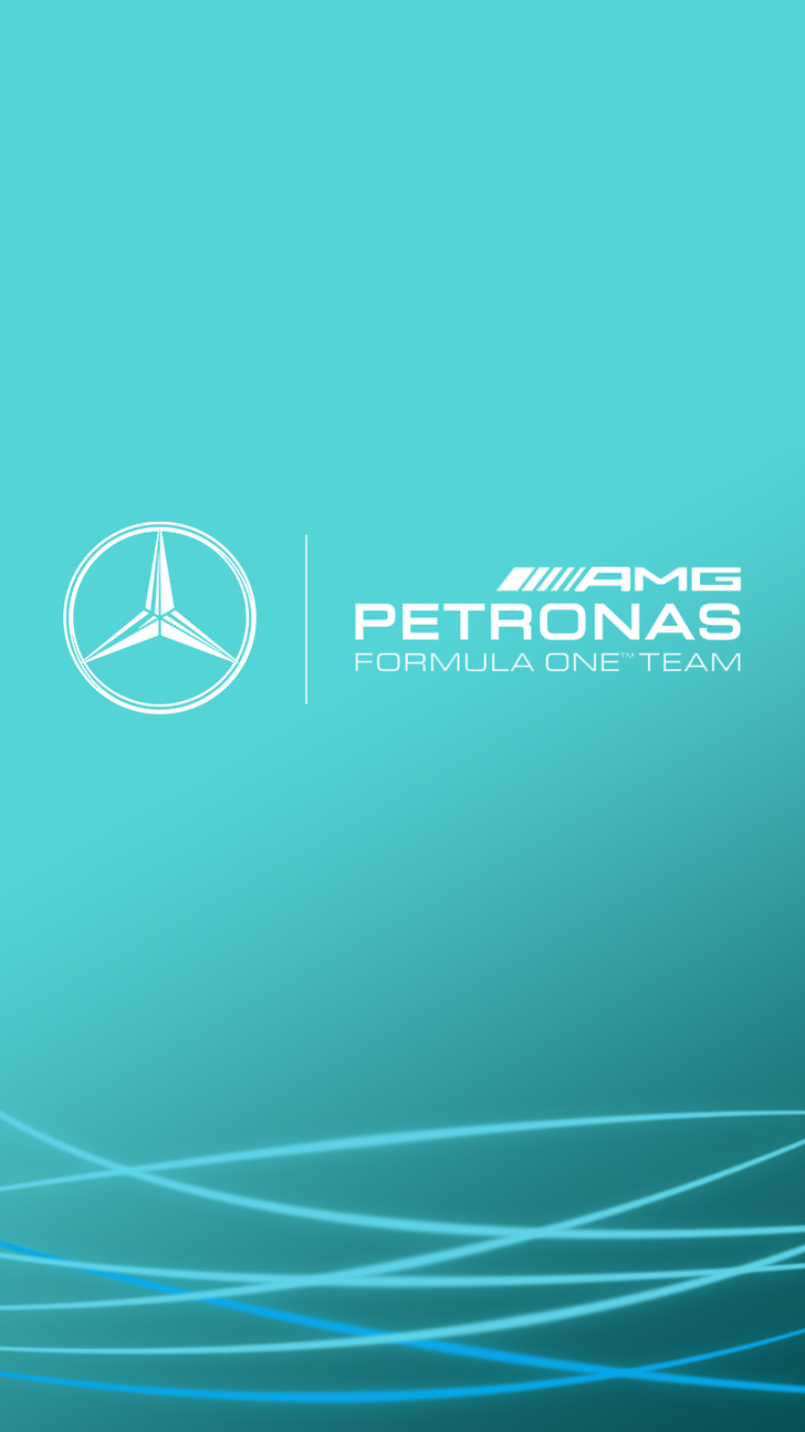 730x1300 mercedes f1 wallpaper, Phone