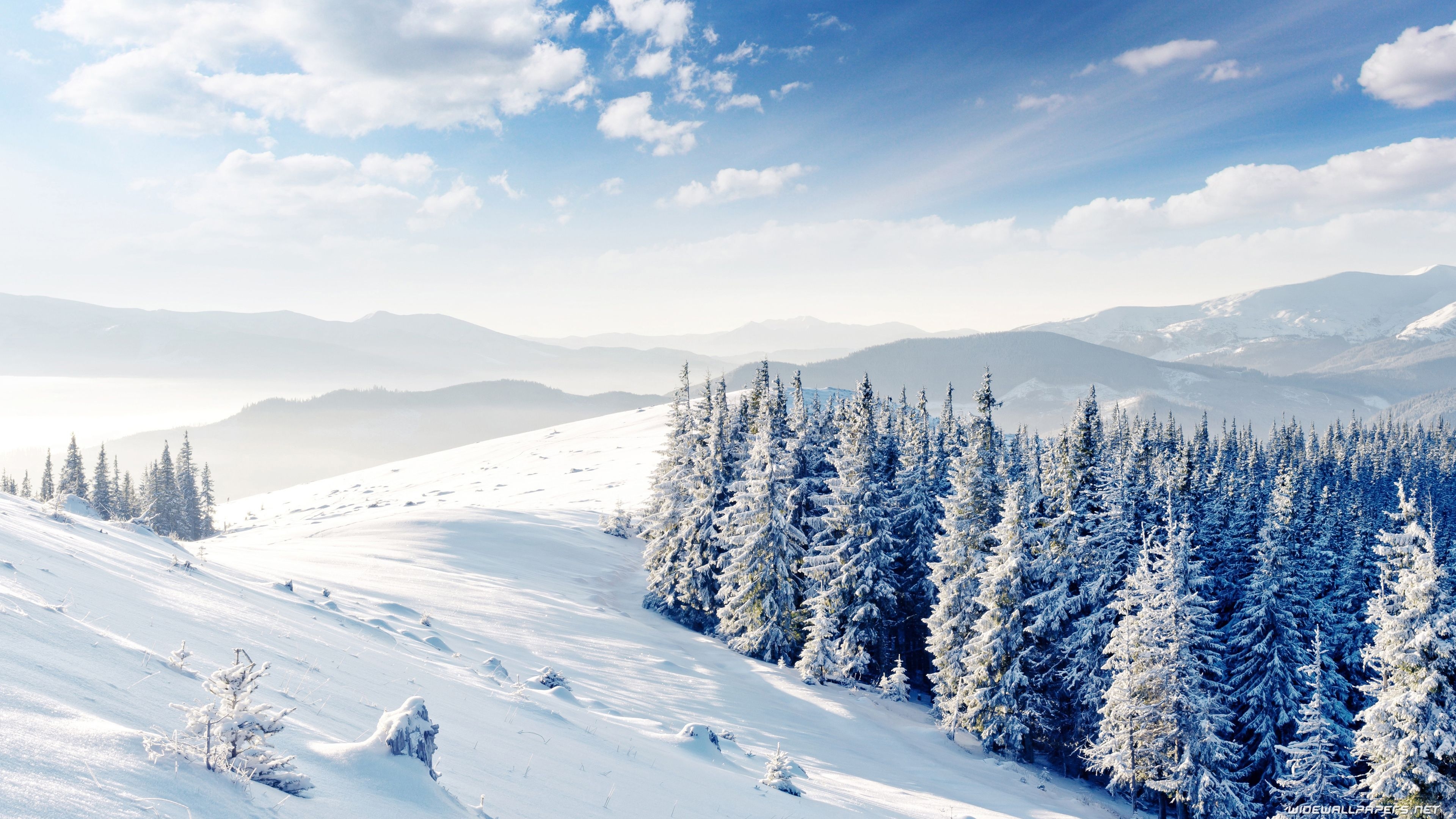 3840x2160 Winter desktop wallpaper 4K Ultra HD, Desktop