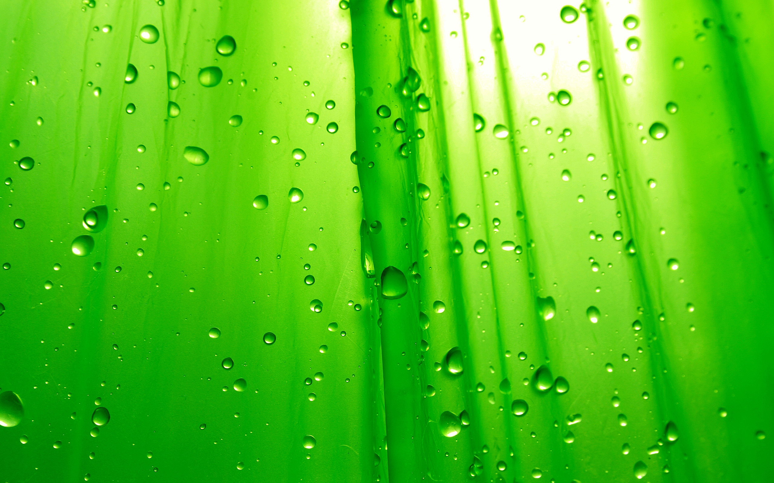 2560x1600 HD Wallpaper Green, Desktop