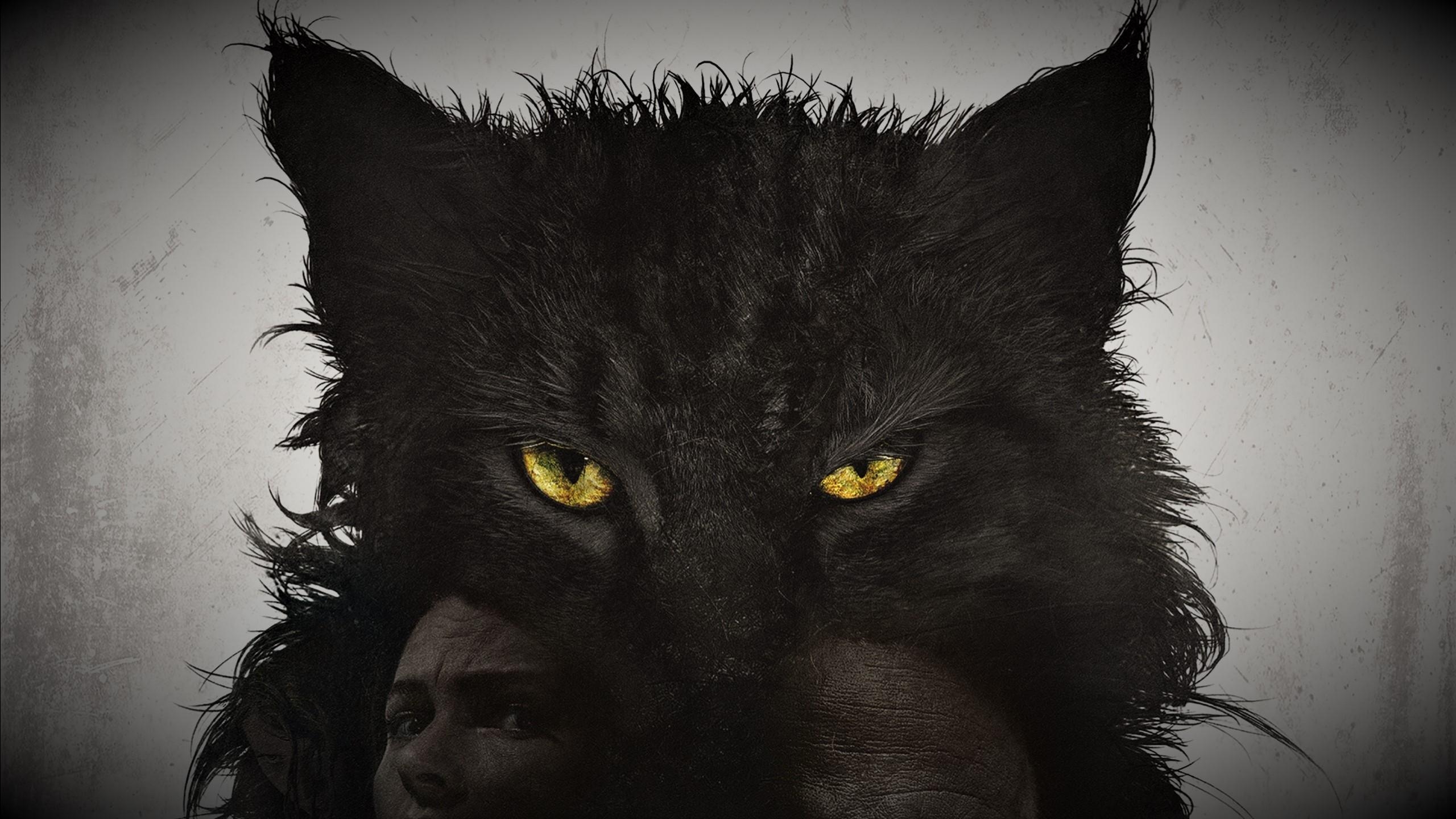 2560x1440 Wallpaper Pet Sematary, poster, HD, Movies, Desktop