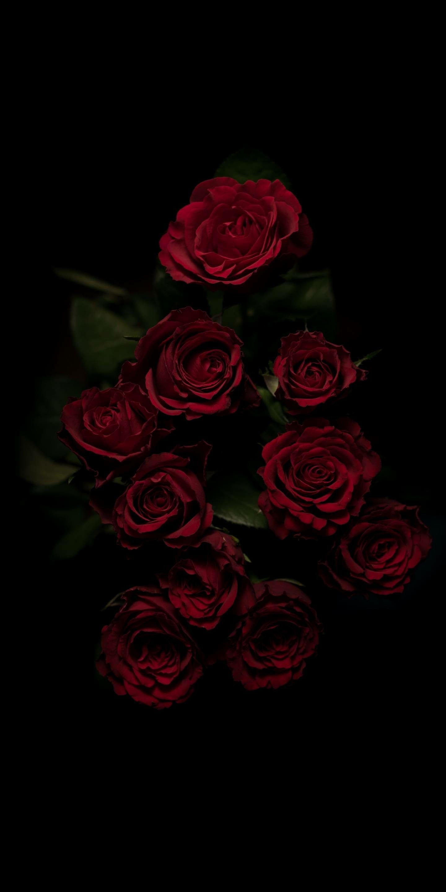 1440x2880 Aesthetics From my Camera Roll. Flowers black background, Rose wallpaper, Red roses wallpaper, Phone