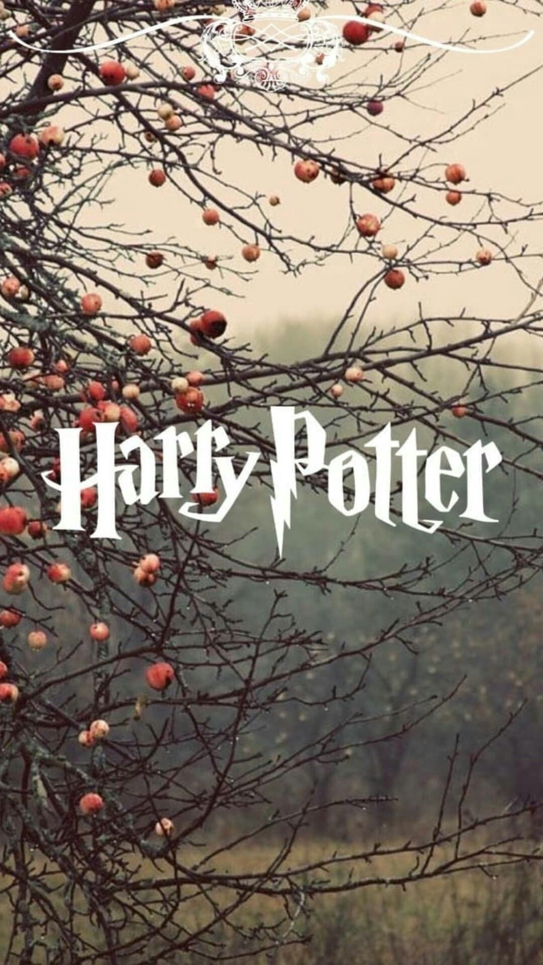 1080x1920 Harry Potter Thanksgiving Wallpaper, Phone