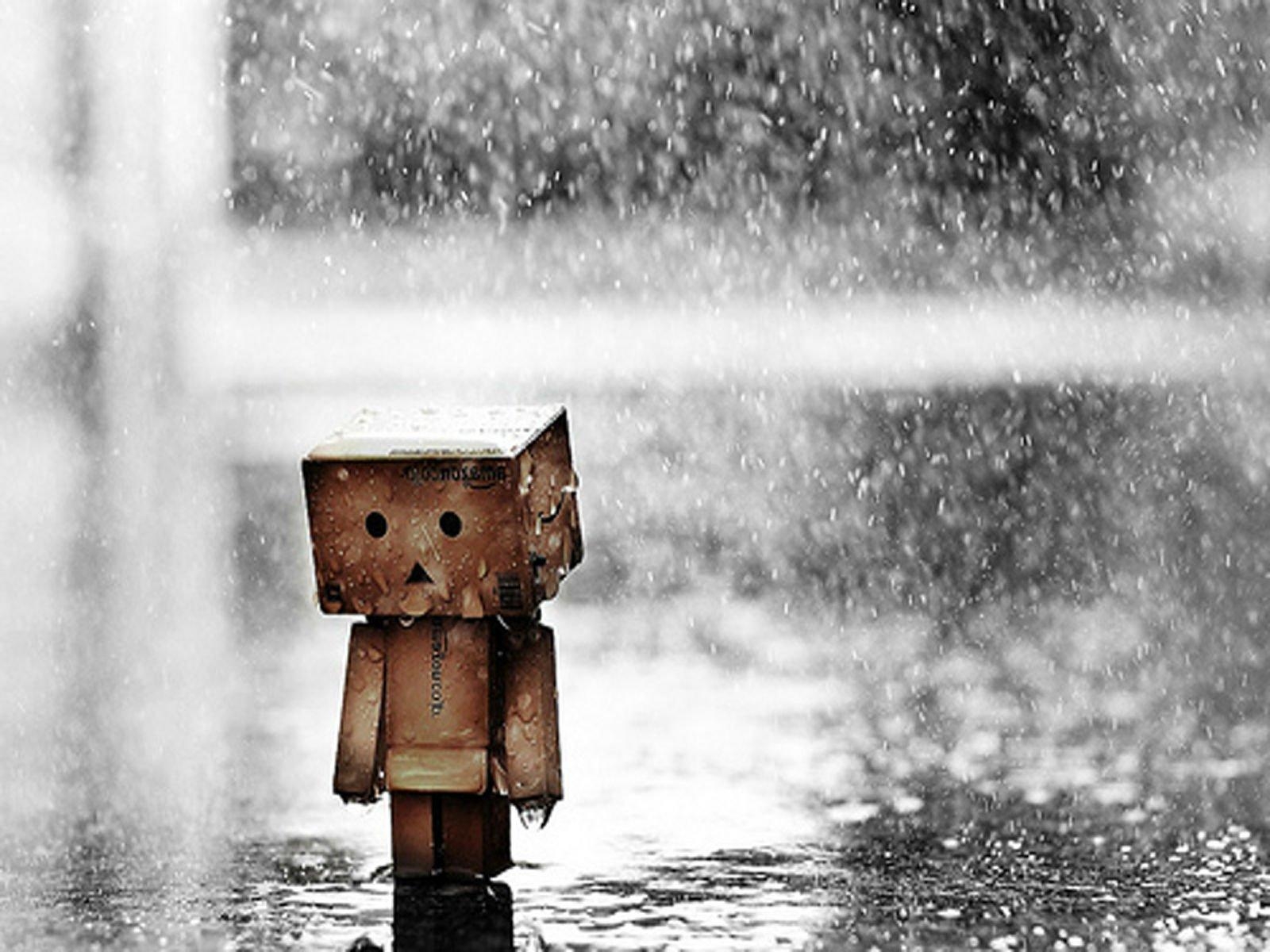 1600x1200 Danbo Rain Wallpaper Picture As Wallpaper HD, Desktop