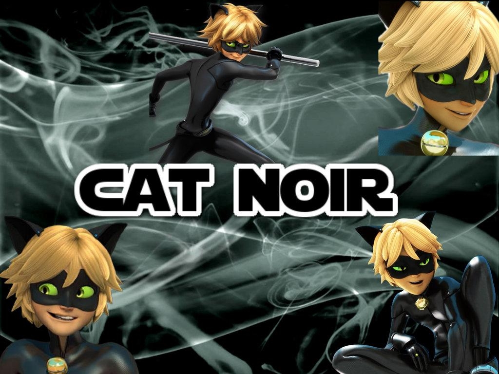 1030x770 Cat noir wallpaper water fountain build how to, Desktop