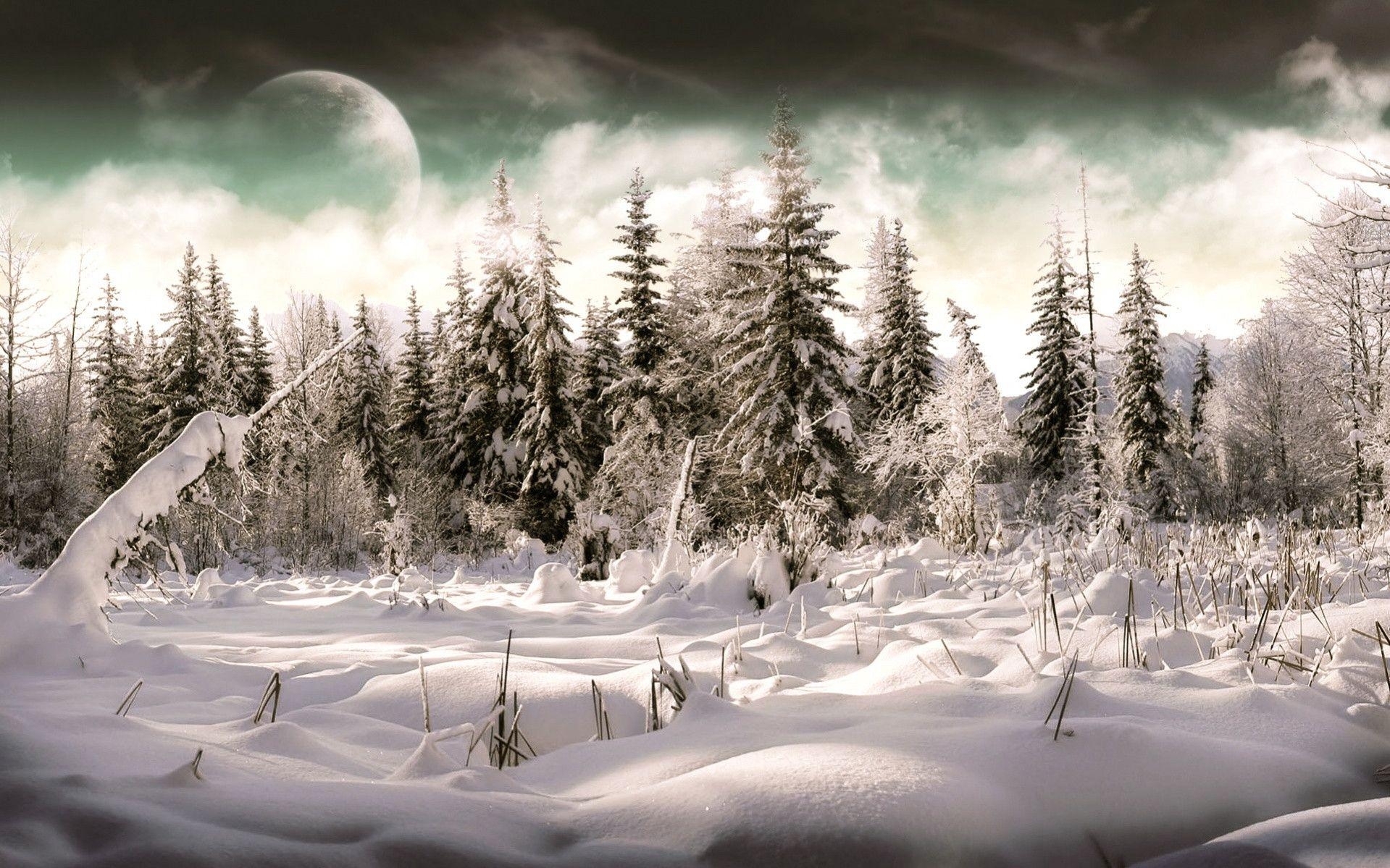 1920x1200 Winter Holiday Wallpaper for Your Desktop, Desktop